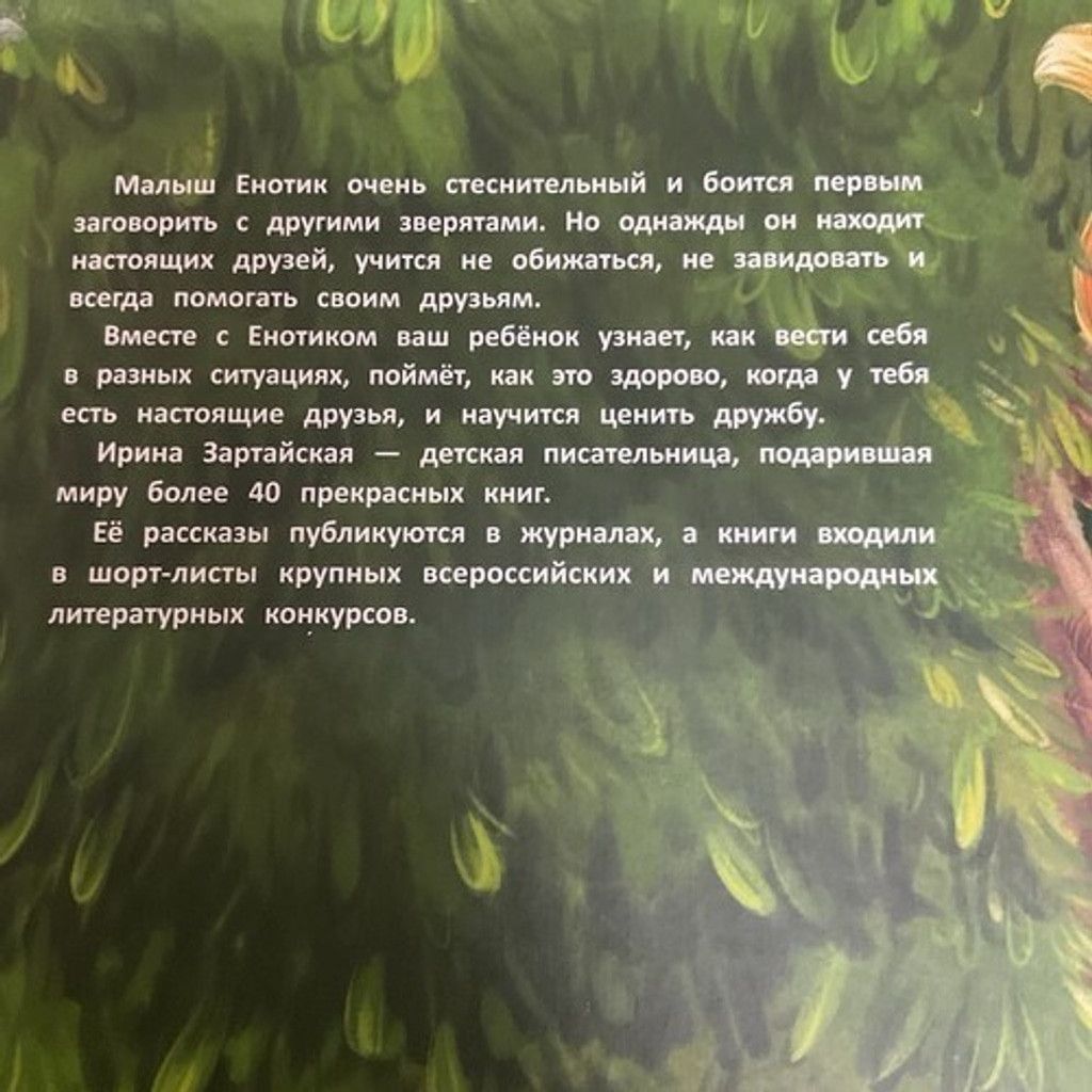 Other Kids Book Сказки ДляДетей О Дружбе Енотик находит друзей 3-6 Size ONE SIZE - 11 Thumbnail