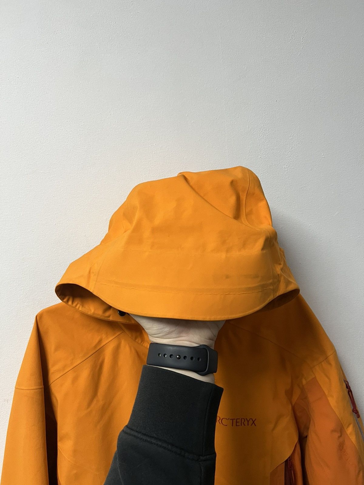 Arc'teryx Men's Arcteryx Beta Gore-Tex Jacket Size L Size US L / EU 52-54 / 3 - 9 Thumbnail
