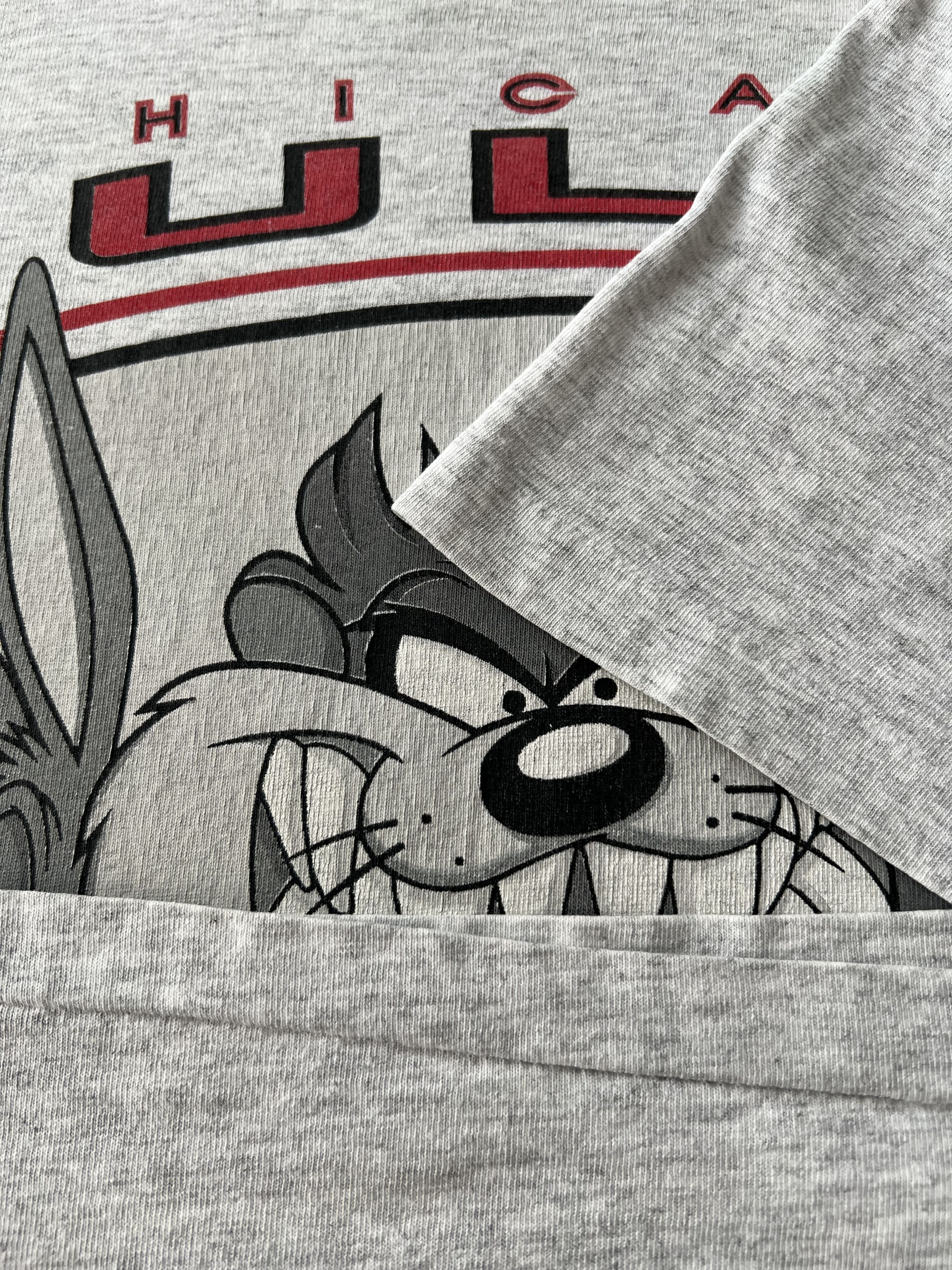 Warner Bros Vintage 1995 Chicago Bulls Warner Bros Taz NBA T-shirt Size US XL / EU 56 / 4 - 7 Thumbnail