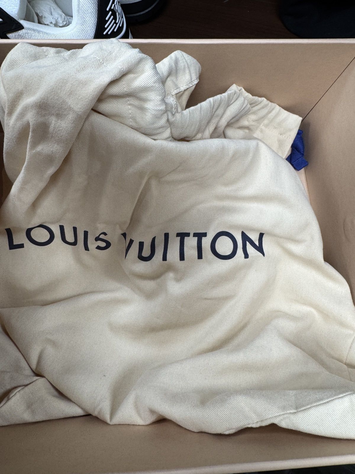 Louis Vuitton Louis Vuitton Maxi Low Top Sneakers Size US 9 / EU 42 - 6 Thumbnail