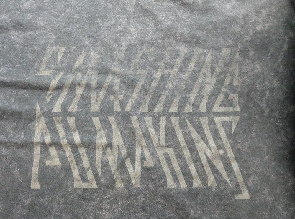 Band Tees Smashing Pumpkins Stone Washed T-Shirt Size US L / EU 52-54 / 3 - 2 Thumbnail