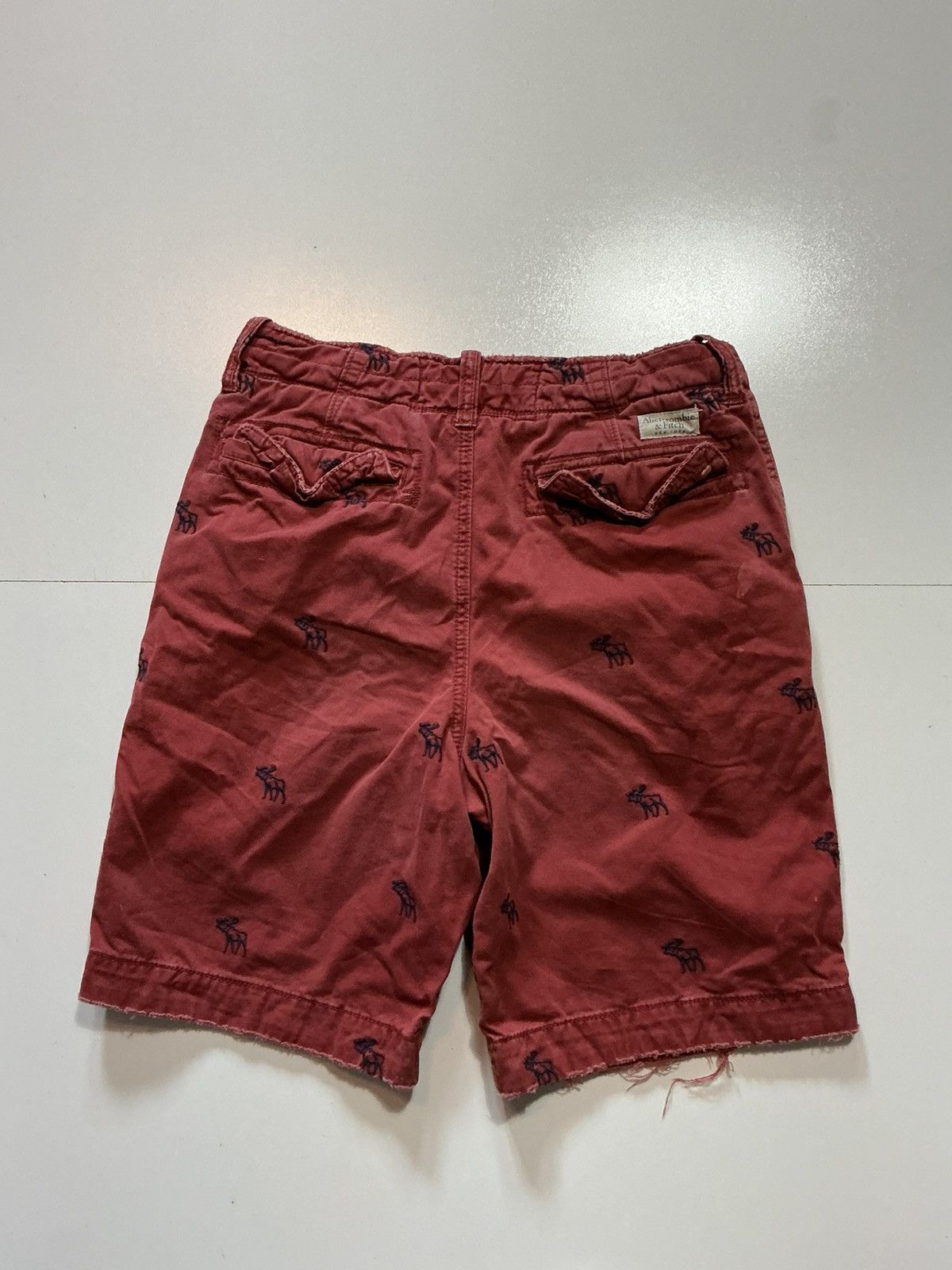 Abercrombie & Fitch Abercrombie & Fitch New York Vintage Y2K Moose Cargo Shorts Size US 30 / EU 46 - 3 Thumbnail