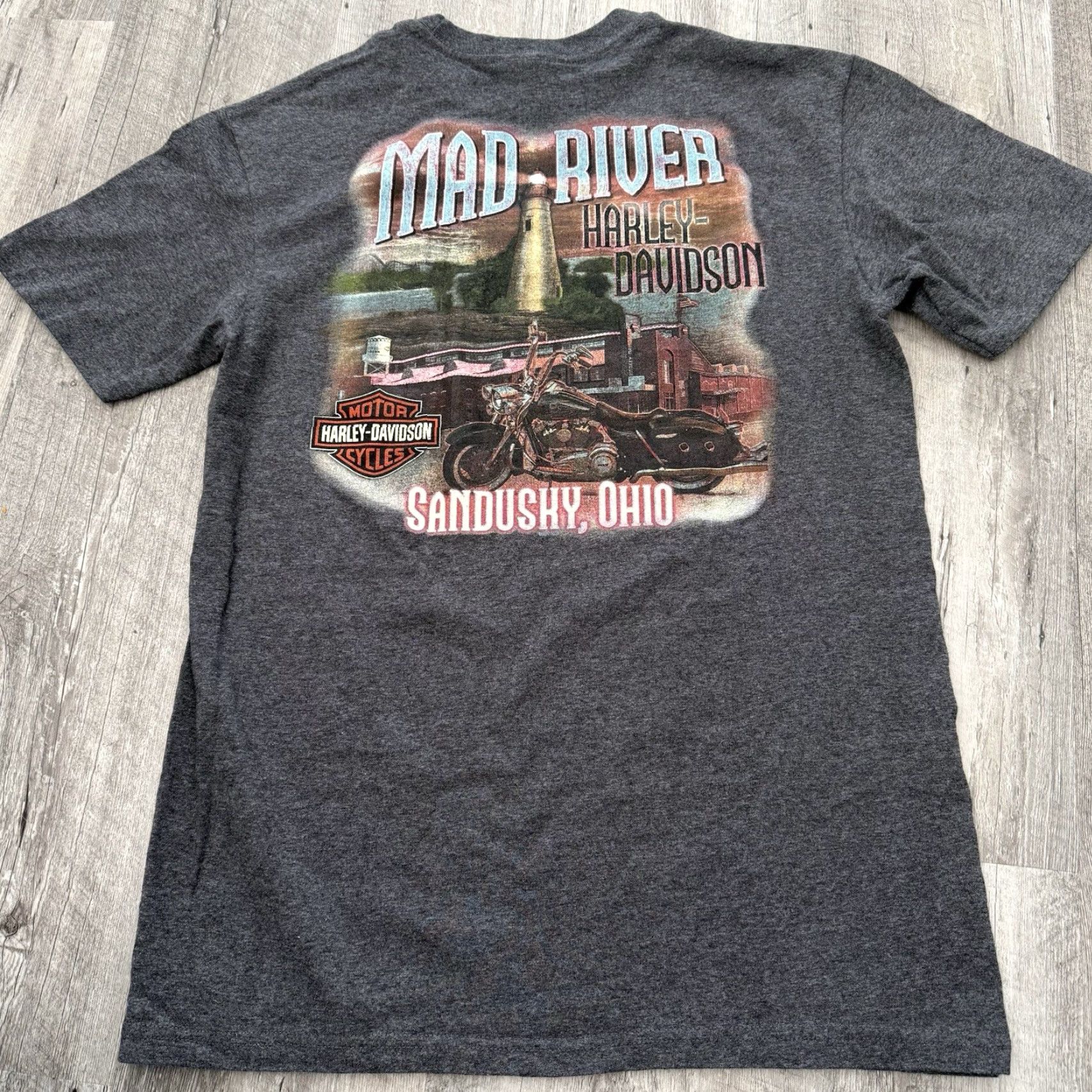 Harley Davidson Harley-Davidson Graphic T Shirt Mens M Gray Motorcycle Biker Tee Mad River Size US M / EU 48-50 / 2 - 5 Thumbnail