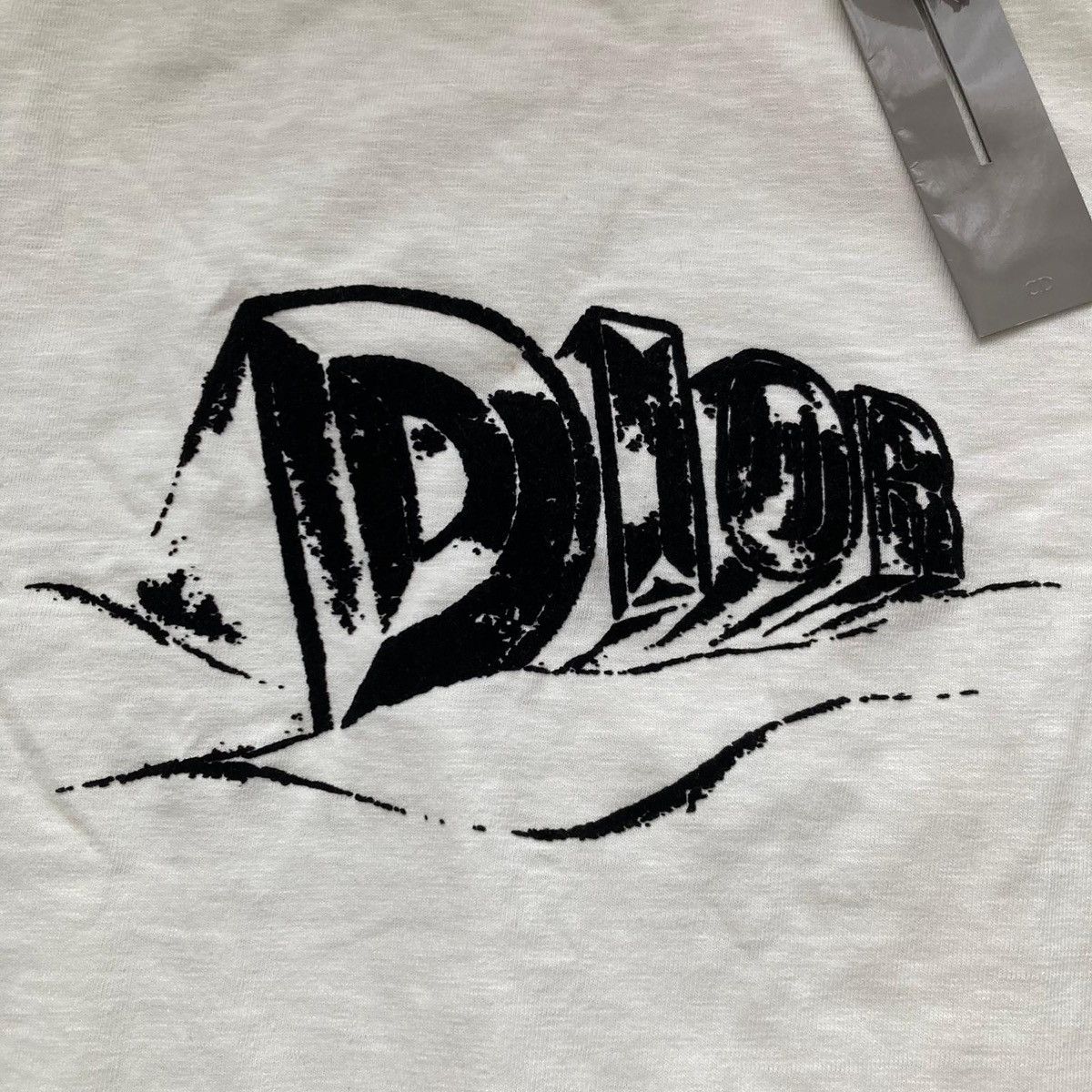 Dior Christian Dior mountain t-shirt 3d logo CD tee t-shirt bnwt Size US S / EU 44-46 / 1 - 2 Thumbnail