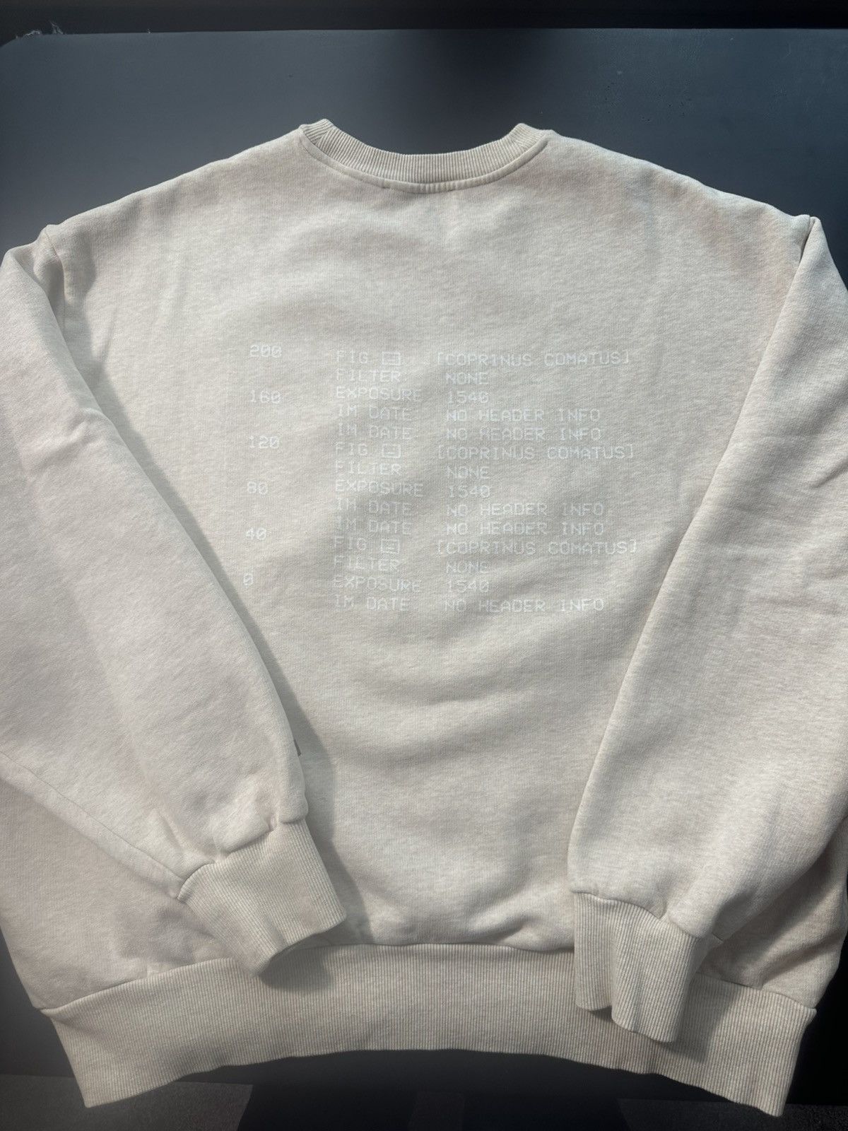 Acne Studios Acne Studios X-Ray Mushroom Graphic Sweatshirt Size US XL / EU 56 / 4 - 6 Thumbnail