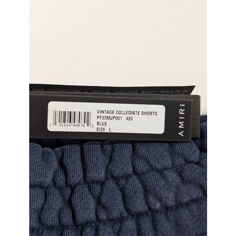 Amiri o1rshd1 Vintage Collegiate Shorts in Blue Size US 34 / EU 50 - 22 Thumbnail