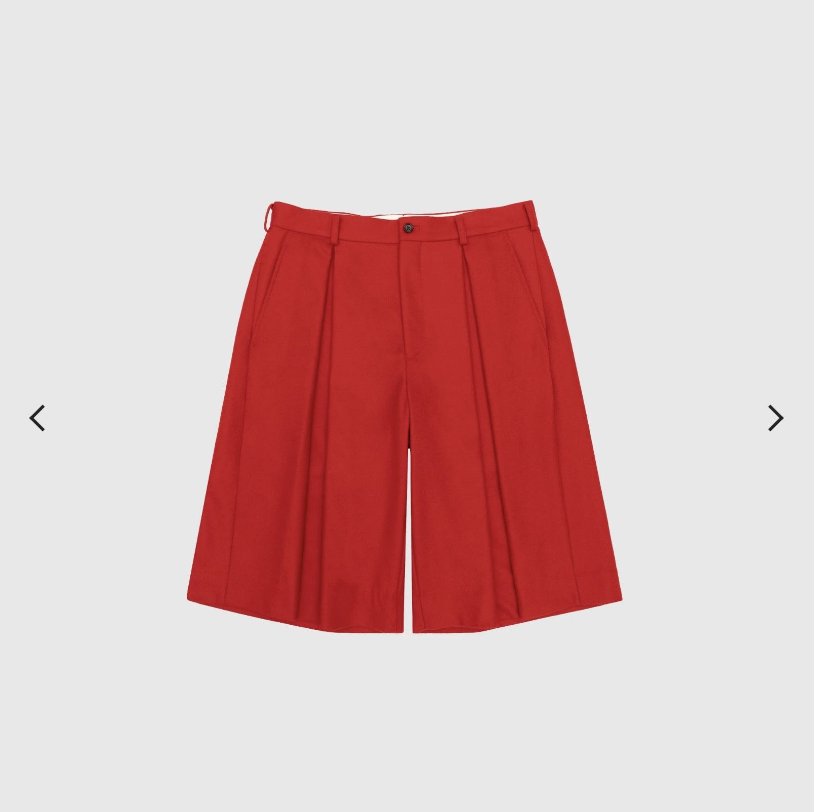 Comme des Garcons Homme Plus COMME DES GARÇONS HOMME PLUS WOOL PLEATED FLANNEL SHORTS Size US 34 / EU 50 - 1 Thumbnail