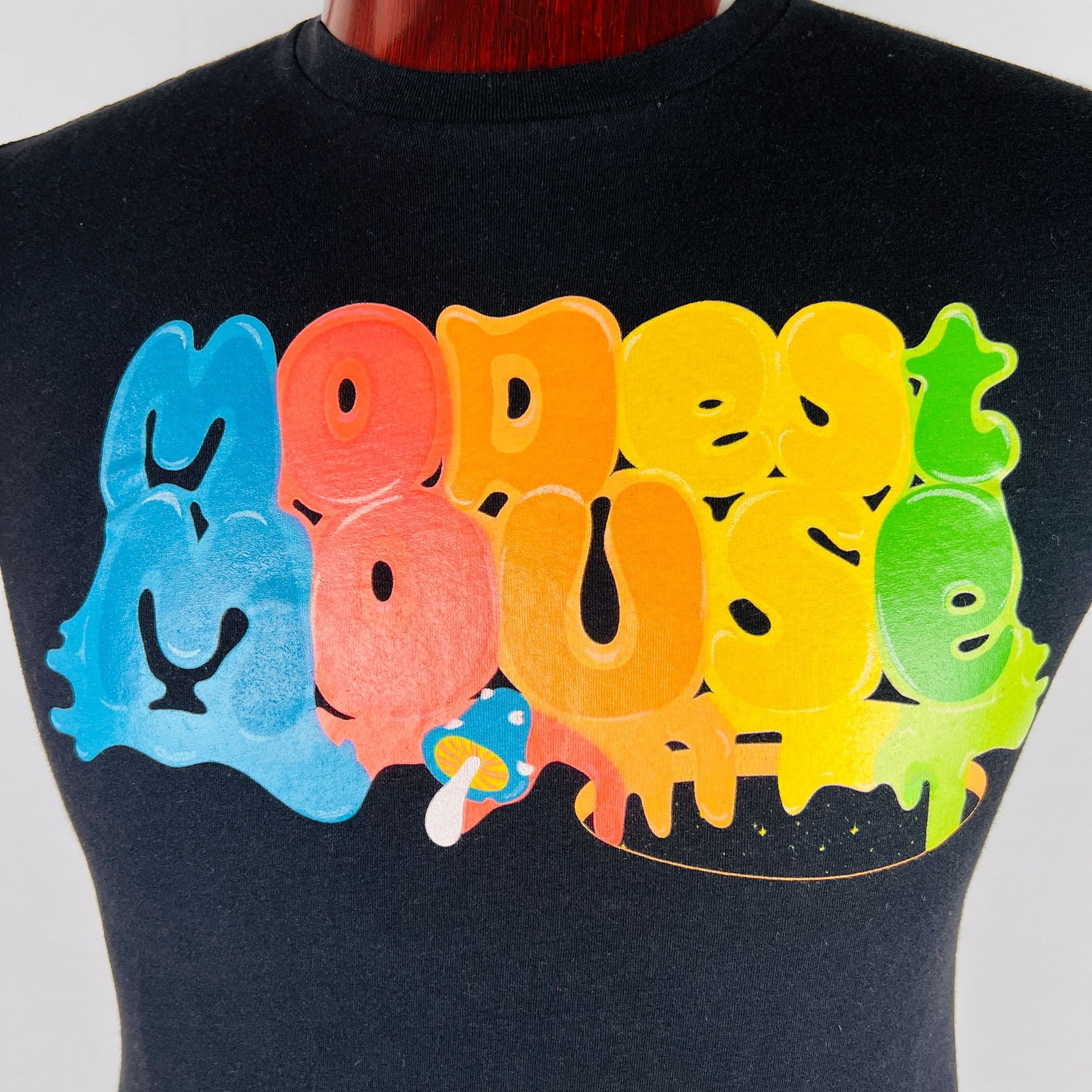 Next Level Apparel Modest Mouse 2023 Tour Rainbow Colors S T-Shirt Shirt Size US S / EU 44-46 / 1 - 2 Thumbnail