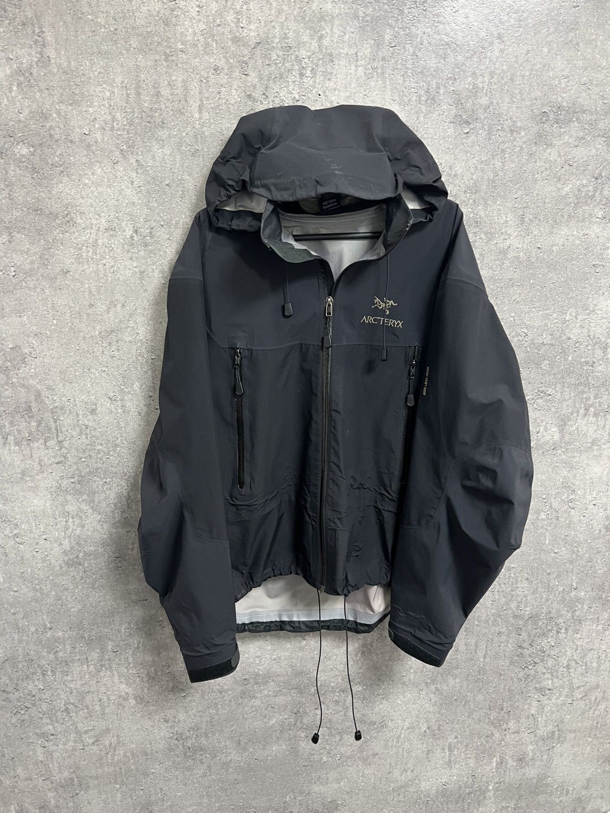 Arc'teryx Arcteryx Beta Gore Tex Jacket XCR Alpha Gorpcore Rare Y2K