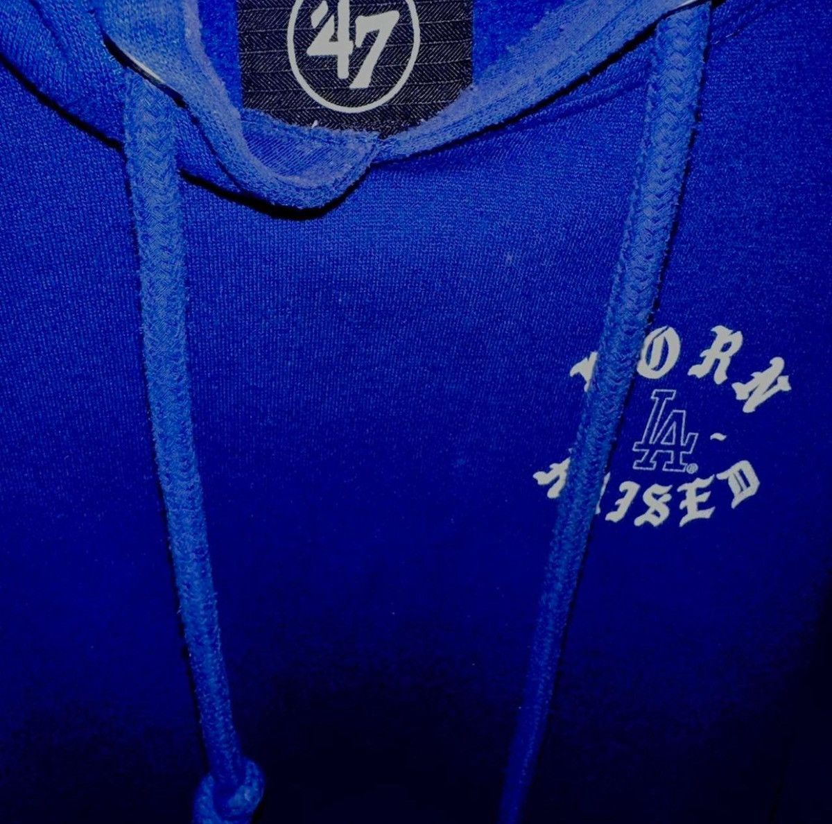 47 Brand × Born X Raised Born x Raised LA Dodgers 2020 World Series Champions Hoodie Size US XL / EU 56 / 4 - 3 Thumbnail