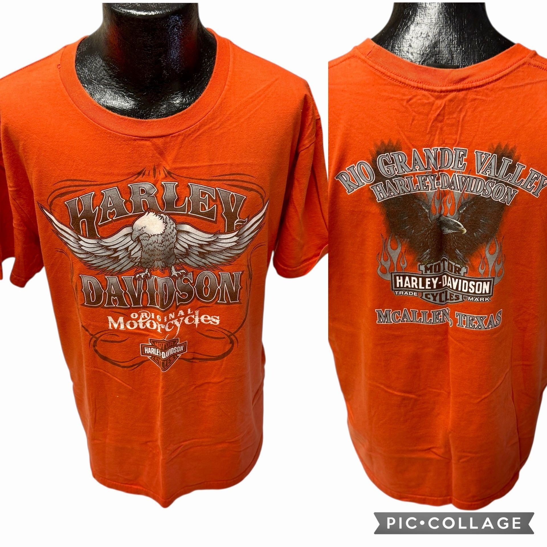 Harley Davidson Vtg Harley Davidson Motorcycle Biker Eagle RIO GRANDE Shirt Size US XL / EU 56 / 4 - 1 Thumbnail