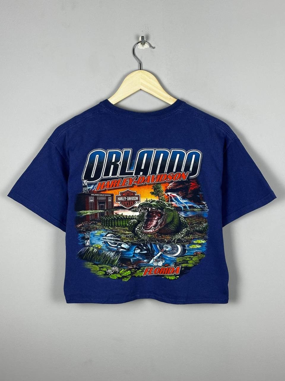 Harley Davidson Vintage Harley Davidson Orlando Cropped Tank Top T-Shirt Size M / US 6-8 / IT 42-44 - 1 Thumbnail