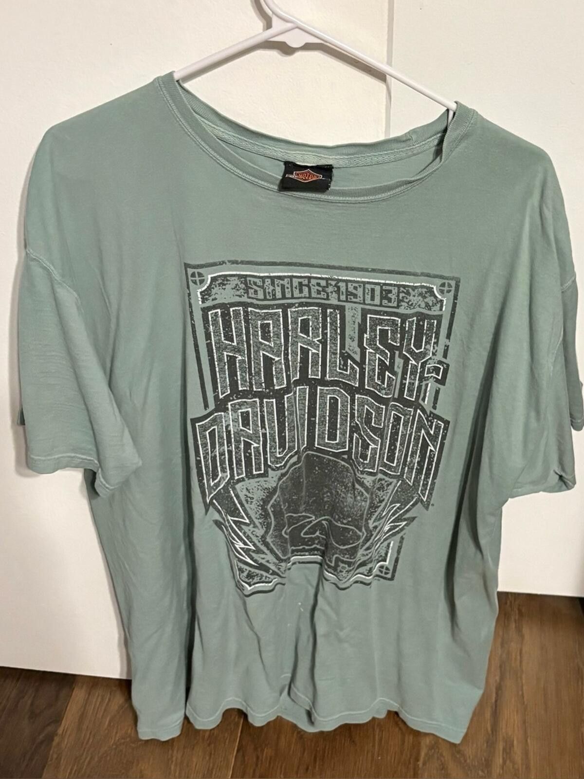 Harley Davidson Harley-Davidson Detroit Light Sage Green Graphic Tee Size US XL / EU 56 / 4 - 1 Thumbnail