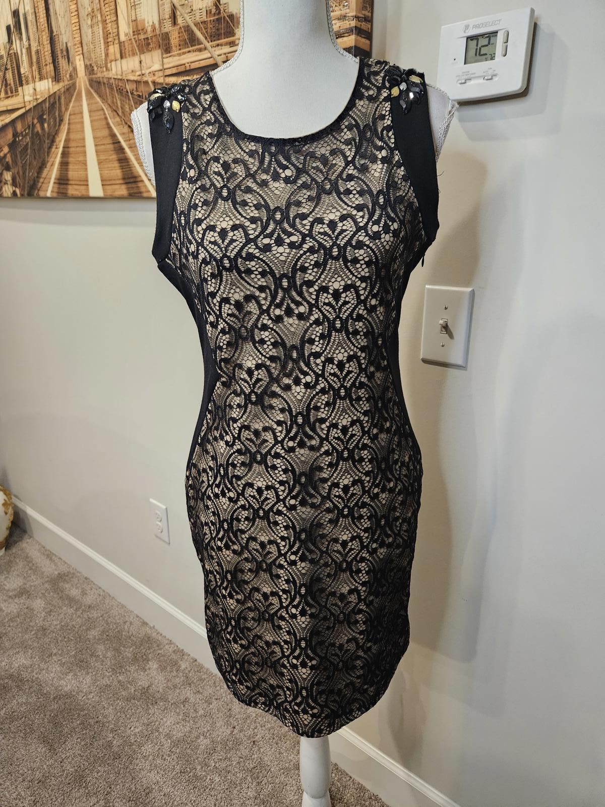 Designer Gianni Bini Women's Black Lace Dress Size S / US 4 / IT 40 - 1 Thumbnail