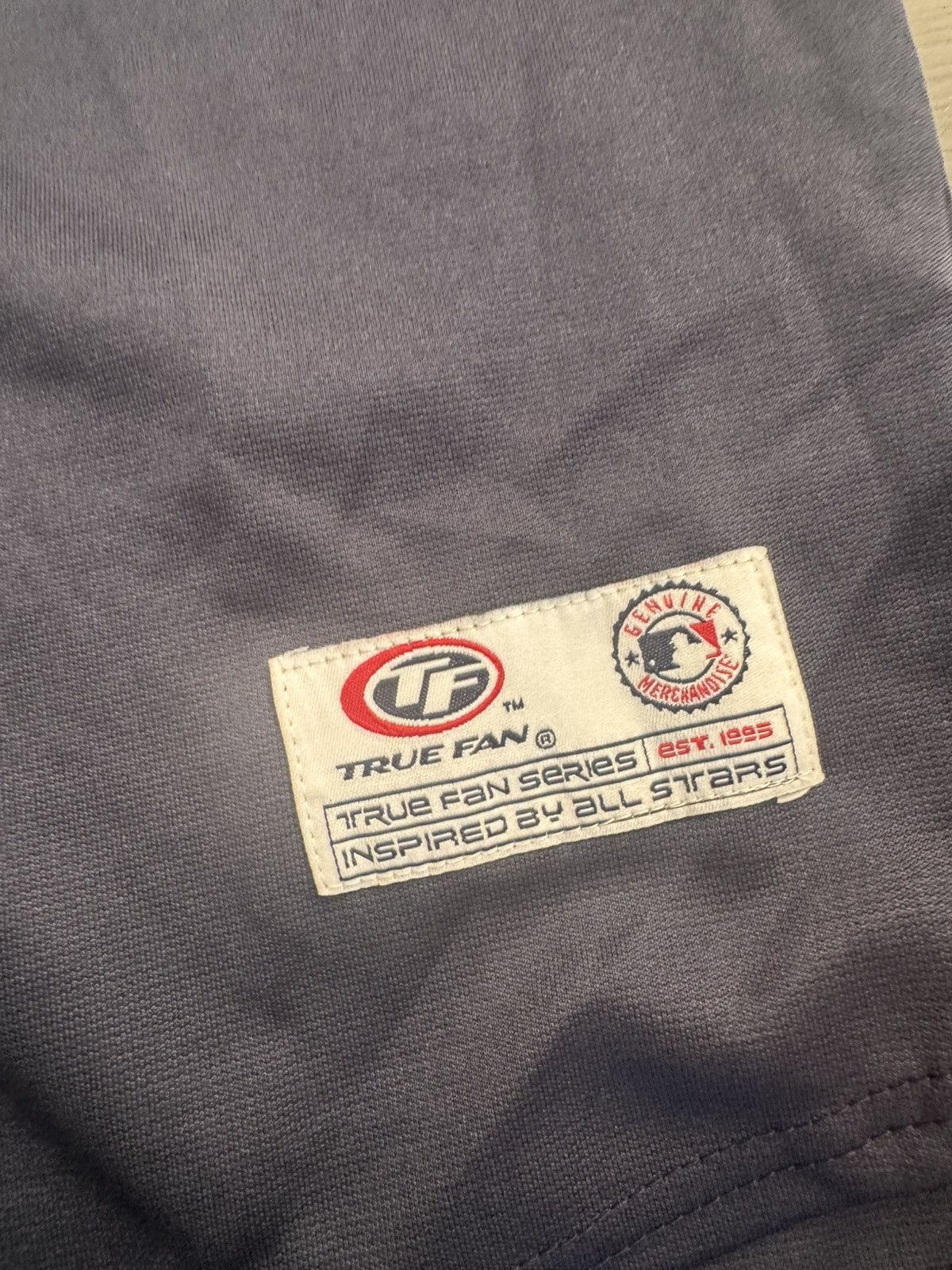 MLB Vintage True Fan Detroit Tigers MLB Baseball Stitched Jersey Size US M / EU 48-50 / 2 - 2 Thumbnail