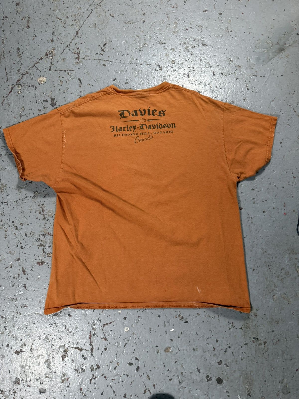Harley Davidson Vintage Thrashed Harley Davidson Wing Tee Burnt Orange Size US XL / EU 56 / 4 - 7 Thumbnail