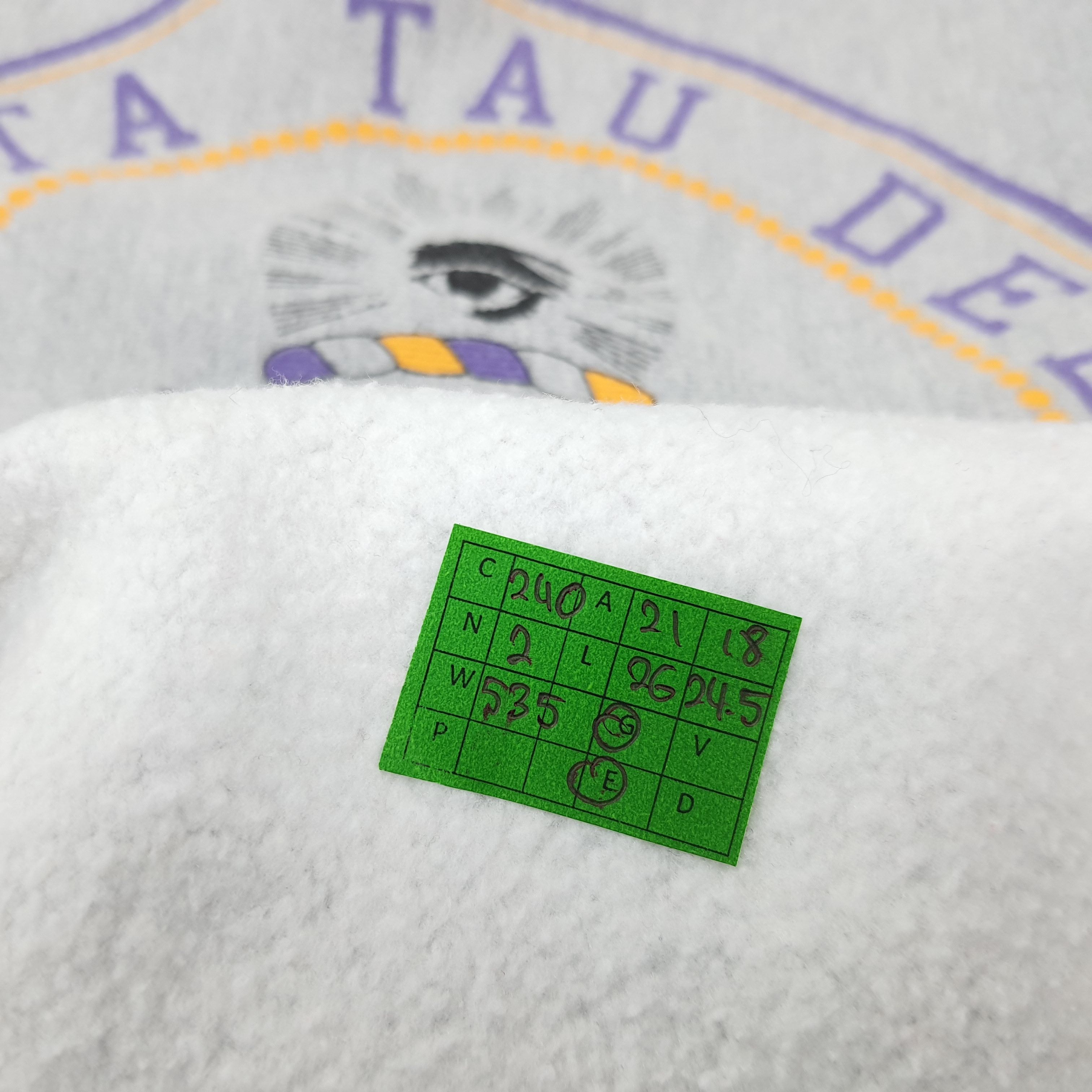 Champion Vintage Champion Delta Tau Delta Gamma Pi Sweathsirt C240N2 Size US M / EU 48-50 / 2 - 8 Thumbnail