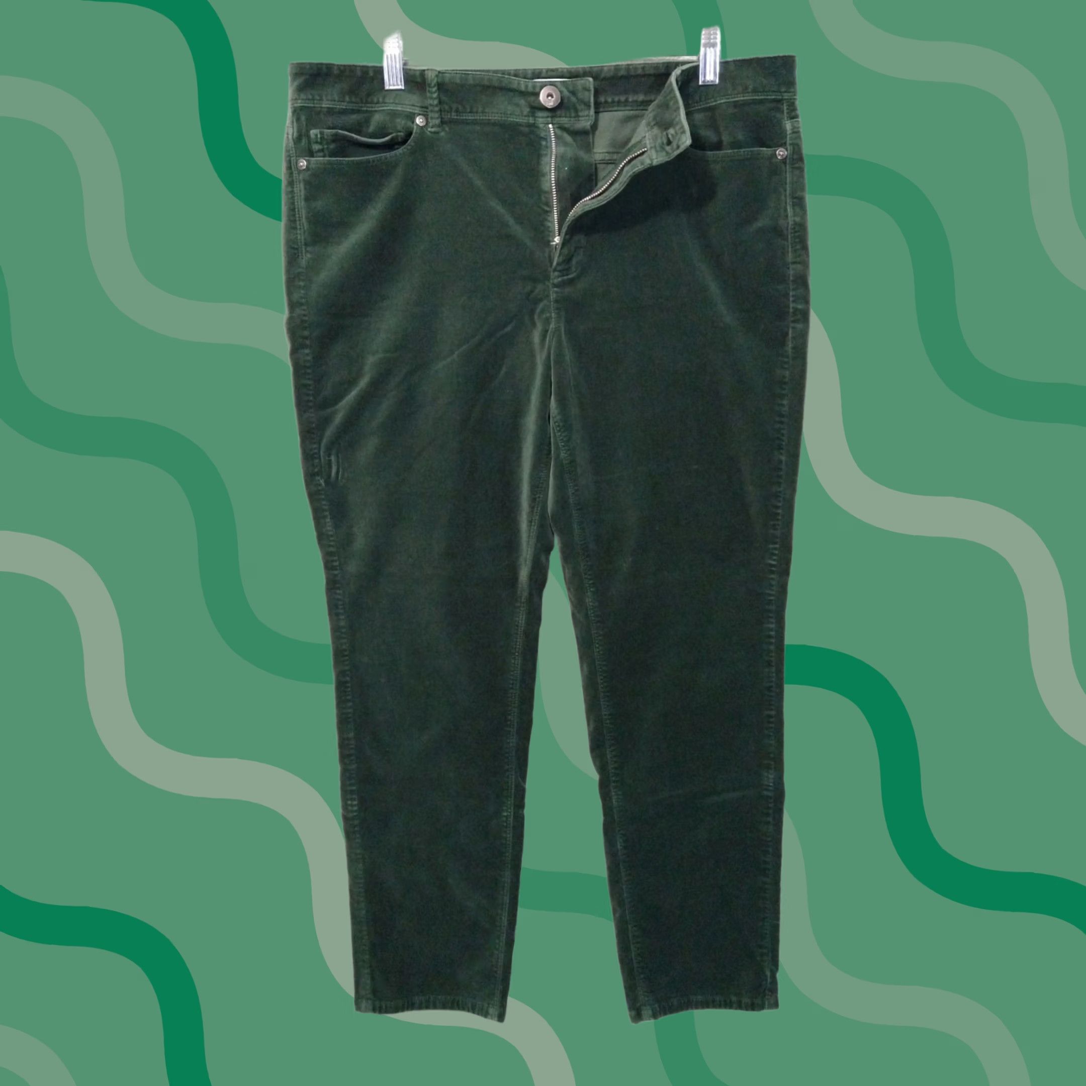 J. Jill J. Jill Pants Womens 16 Green Velvet Skinny High Rise 5 Pocket Stretch Cotton Tapered Shirt? Size 38" / US 16 / IT 52 - 1 Thumbnail