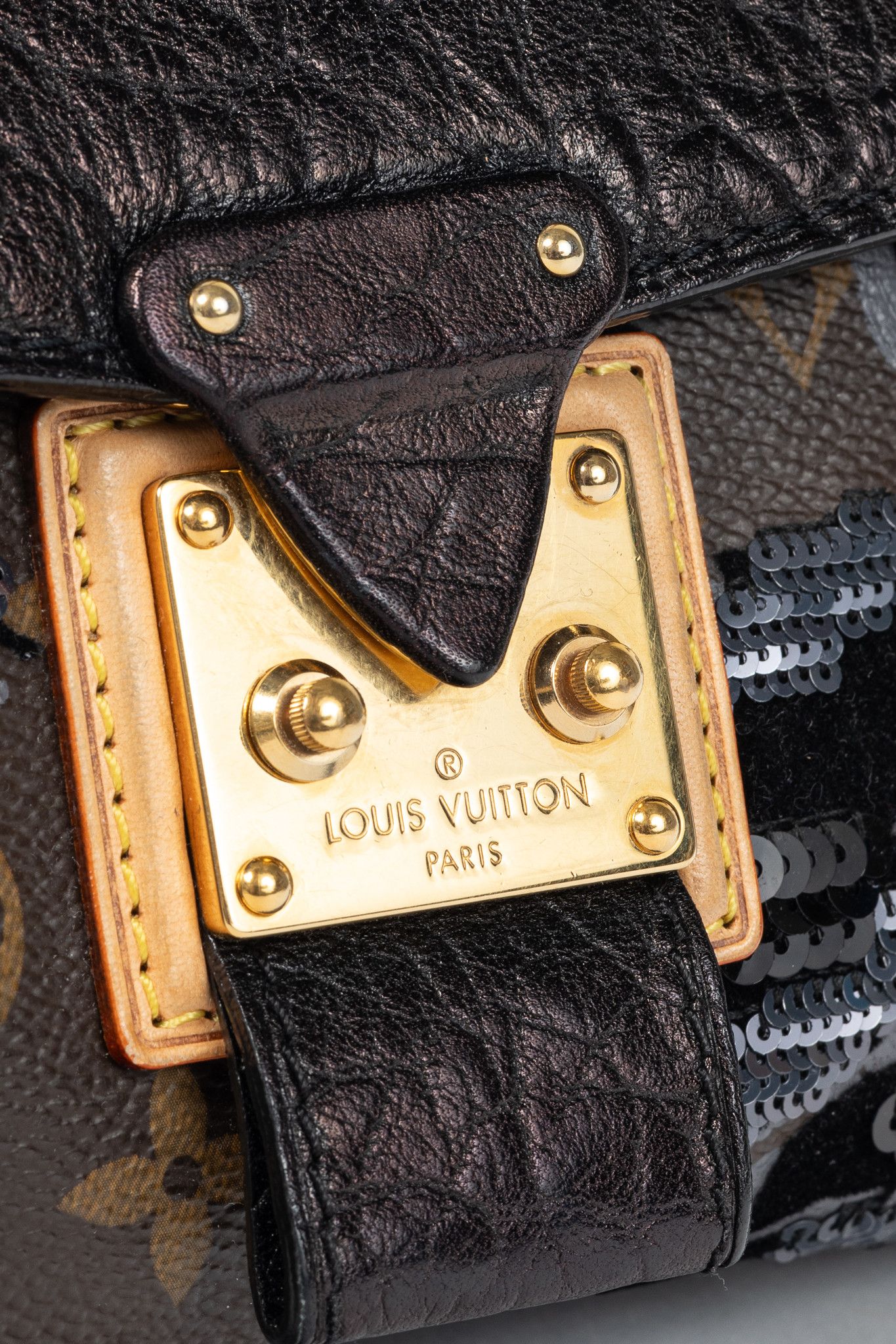 Louis Vuitton Louis Vuitton AW10 Carrousel Monogram Fleur de Jais Handbag Size ONE SIZE - 11 Thumbnail