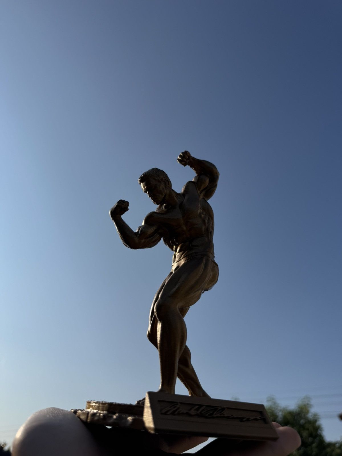 Other Gym statue Arnold Schwarzenegger 34cm Size ONE SIZE - 7 Thumbnail