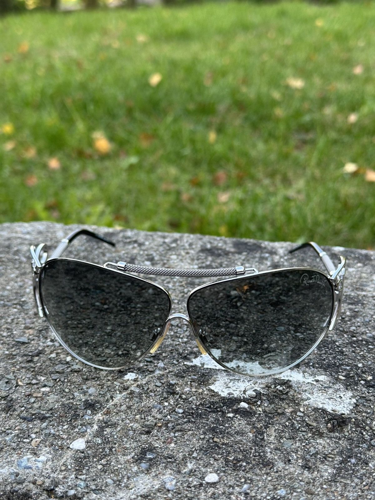 Roberto Cavalli Roberto Cavalli Sunglasses Carnela 300S E98 Silver Size ONE SIZE - 4 Thumbnail