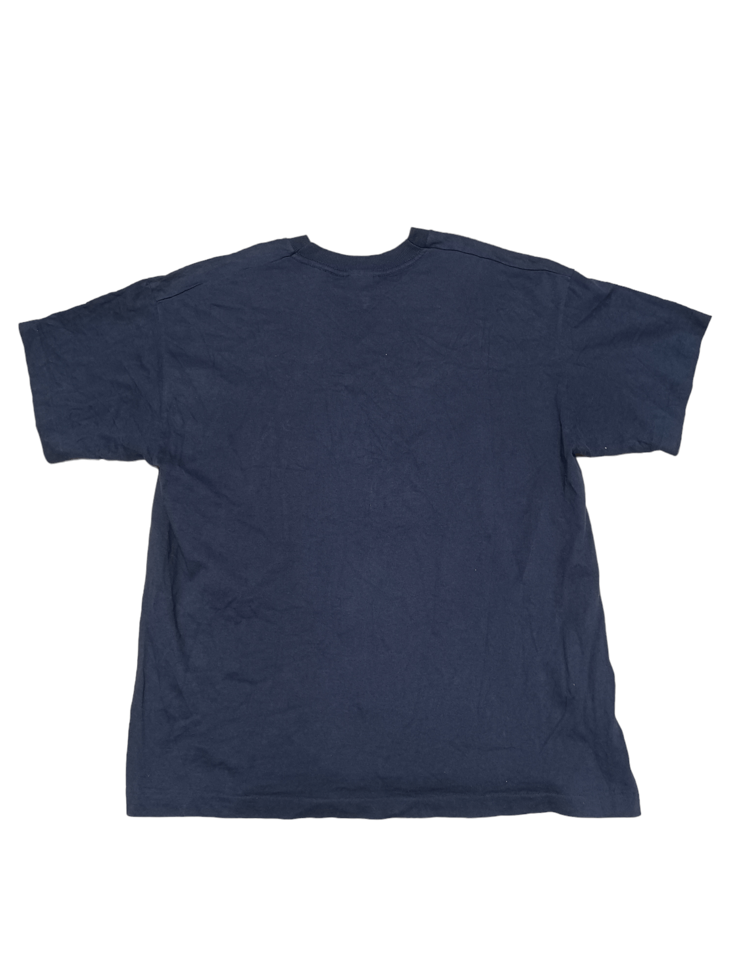 Fruit Of The Loom FITNESS FREAKS SCREEN STARS 90S SINGLE STITCH VINTAGE TEE Size US L / EU 52-54 / 3 - 3 Thumbnail