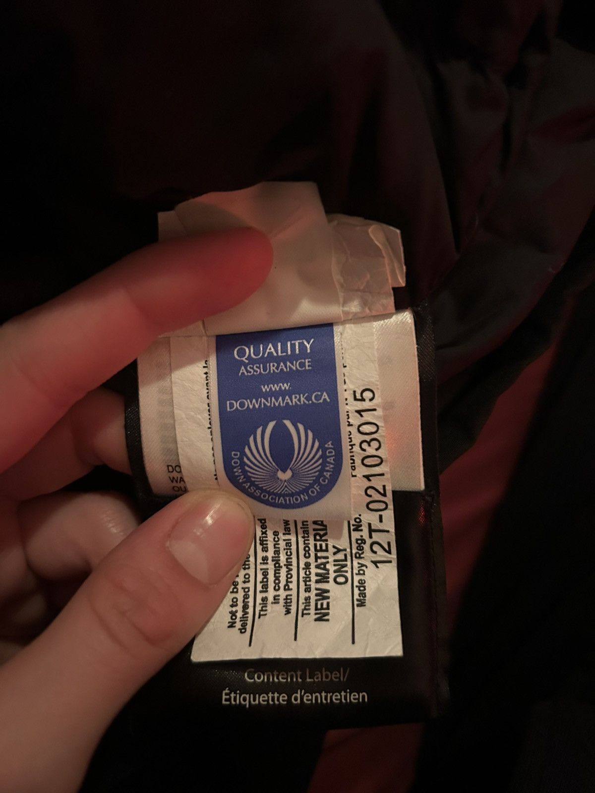 Canada Goose Canada Goose Jacket, USW SM GREAT CONDITION Size S / US 4 / IT 40 - 8 Thumbnail