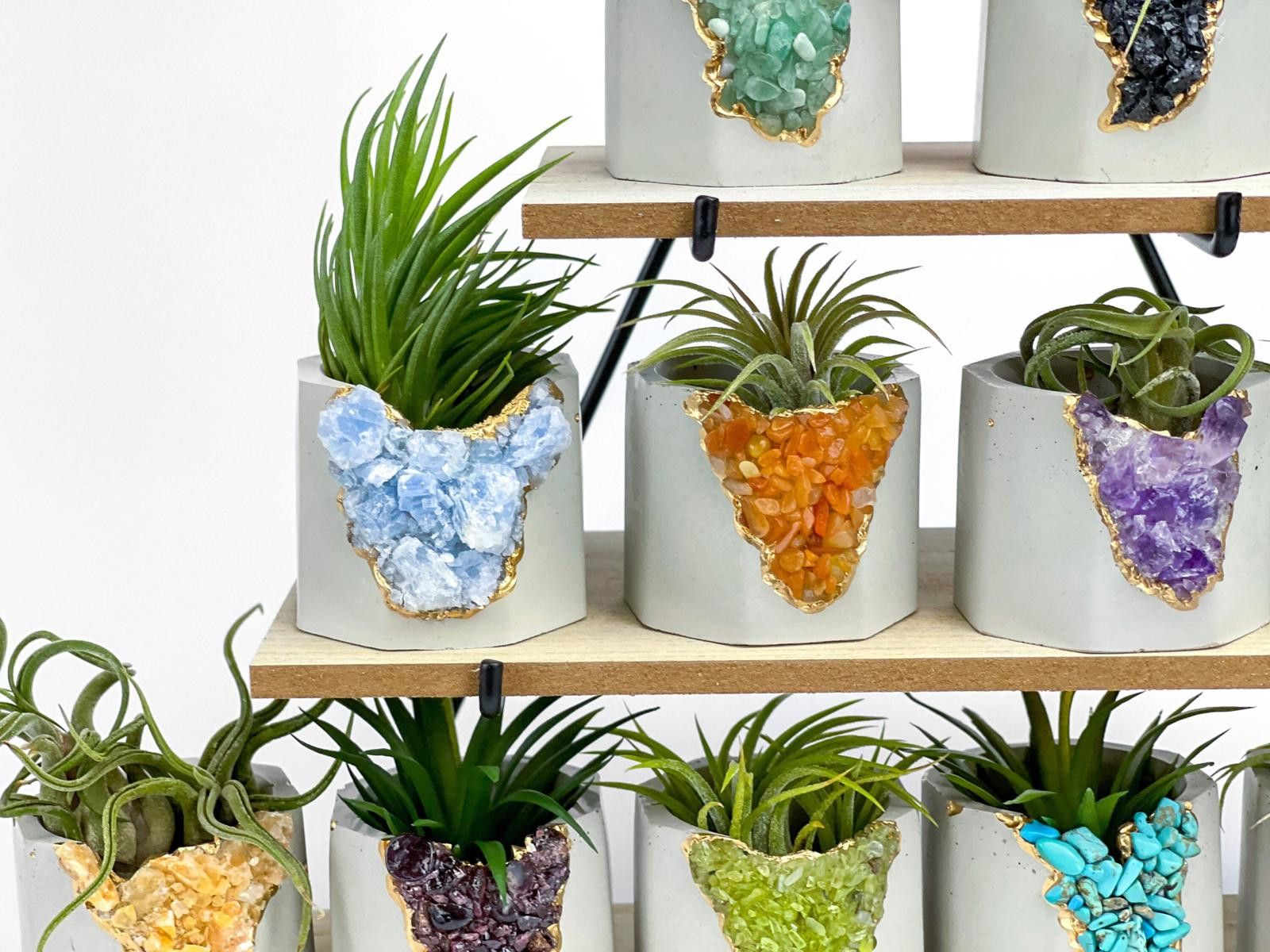 Other Succulent Crystal Planter | Geode Planter | Raw Blue Calcite Size ONE SIZE - 3 Thumbnail