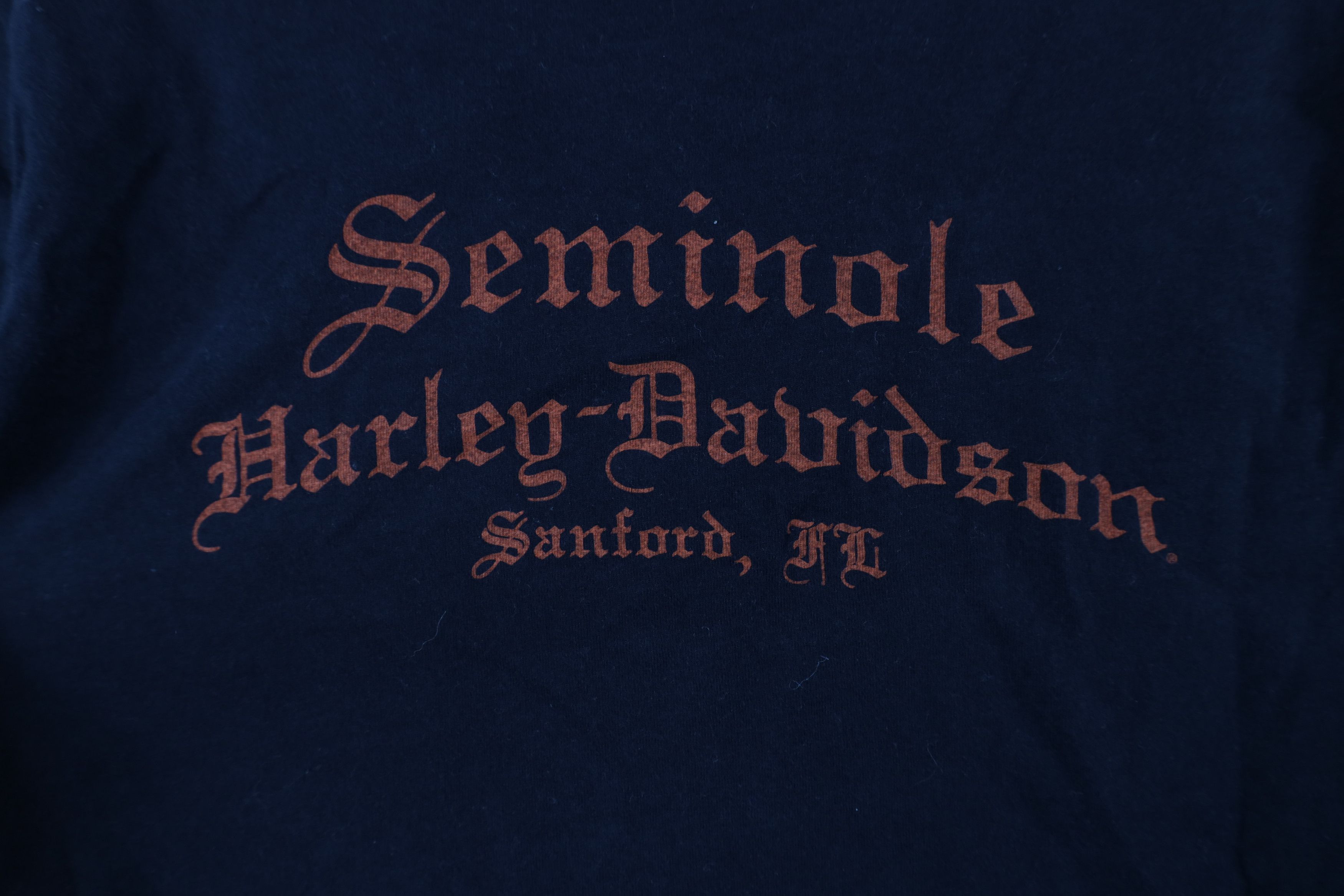 Harley Davidson × Vintage Vintage Y2K Harley Davidson Spell V-Neck T-Shirt Black USA Size M / US 6-8 / IT 42-44 - 11 Thumbnail