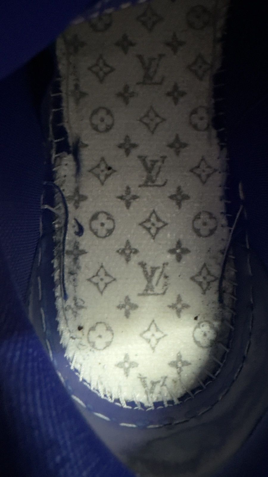 Louis Vuitton Louis Vuitton skates Size US 8.5 / EU 41-42 - 17 Thumbnail