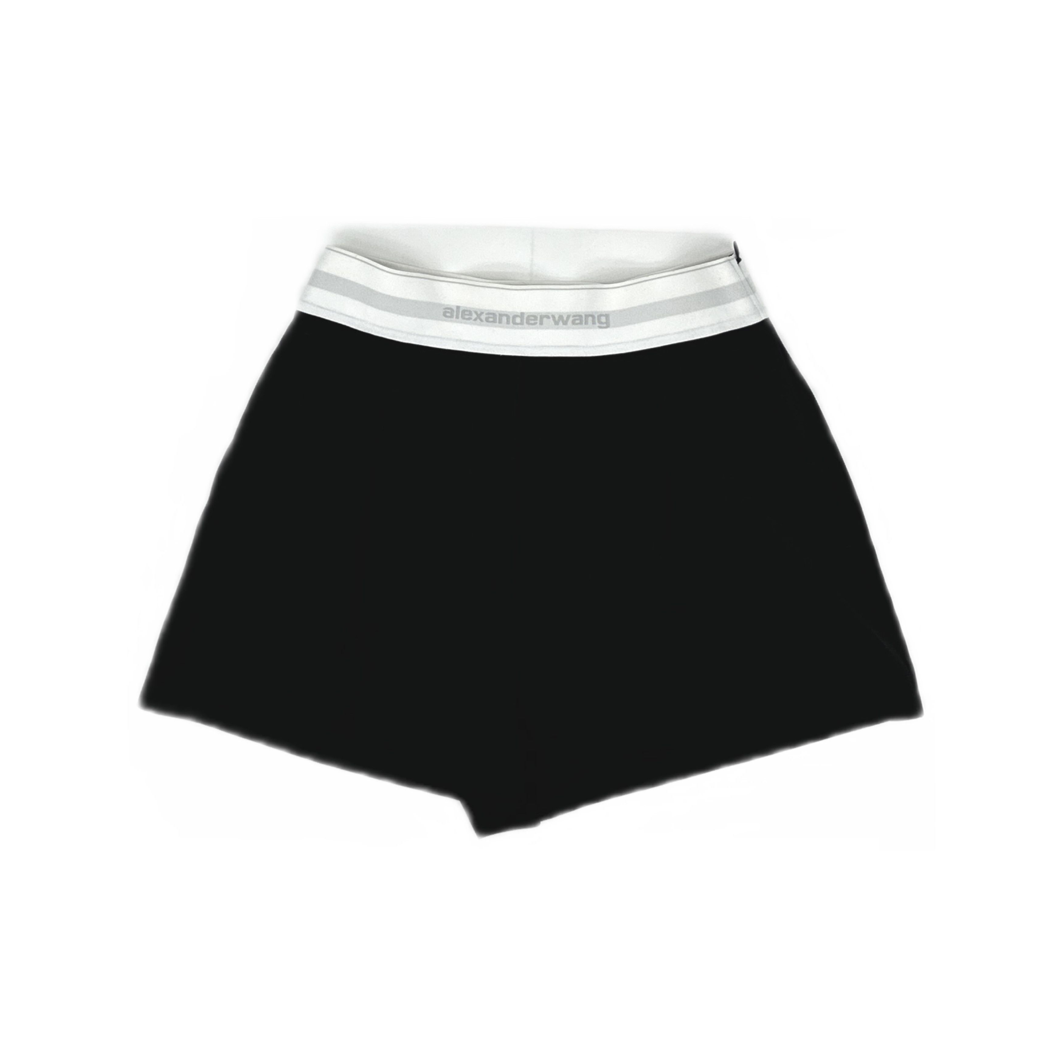 Alexander Wang Alexander Wang Logo Elastic Waist Shorts Size 2 Size 26" / US 2 / IT 38 - 1 Thumbnail