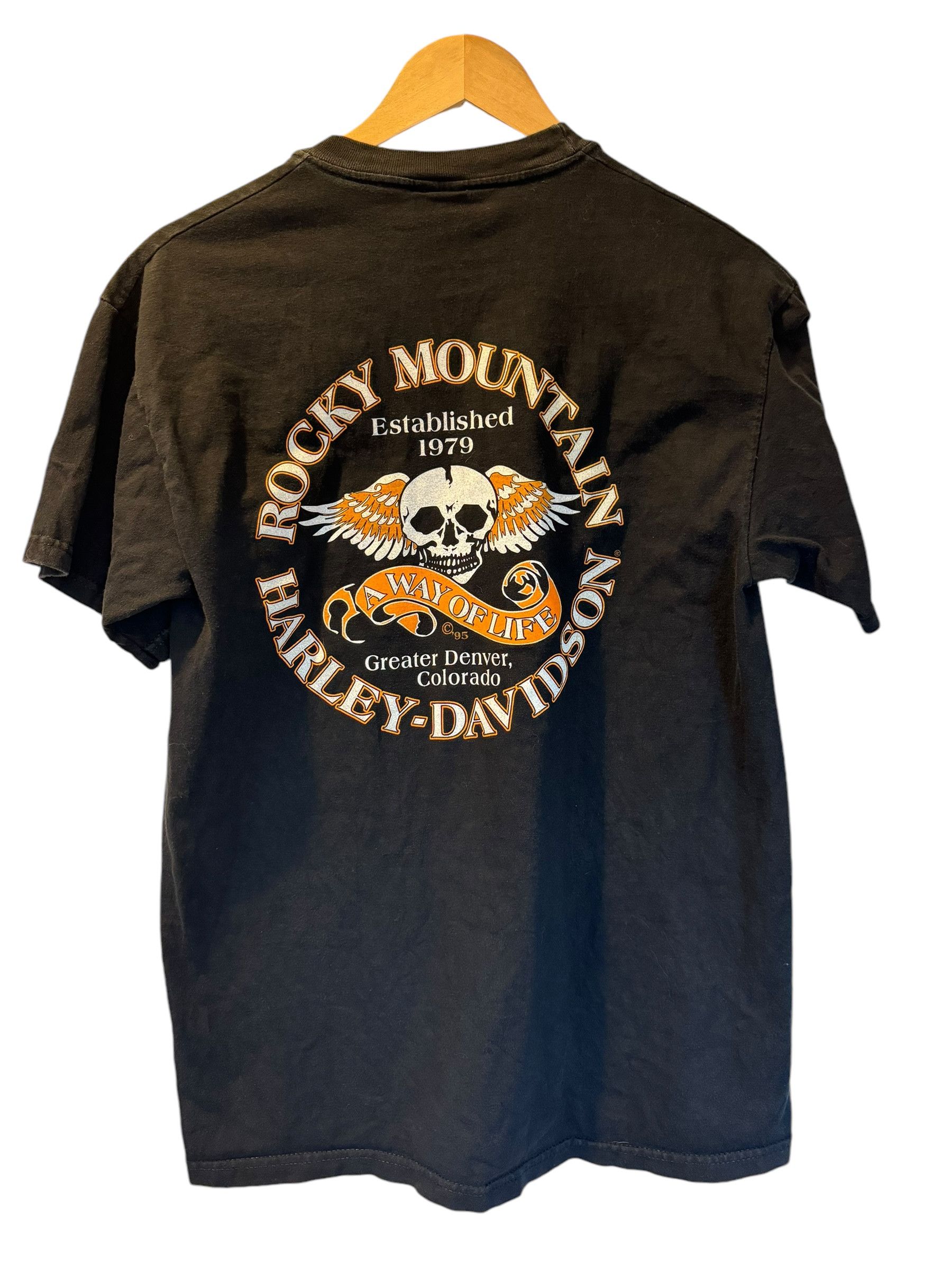Hanes × Harley Davidson × Vintage Vintage Y2K Harley Davidson Denver, CO "Hell on Wheels" Tee Size US M / EU 48-50 / 2 - 2 Thumbnail