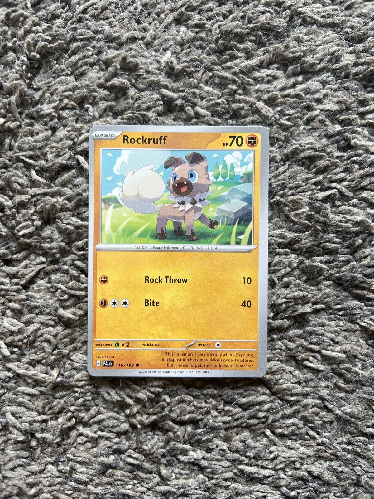 Hypebeast × Nintendo × Pokemon 2023 Pokémon Rockruff Basic Card Size ONE SIZE - 1 Thumbnail
