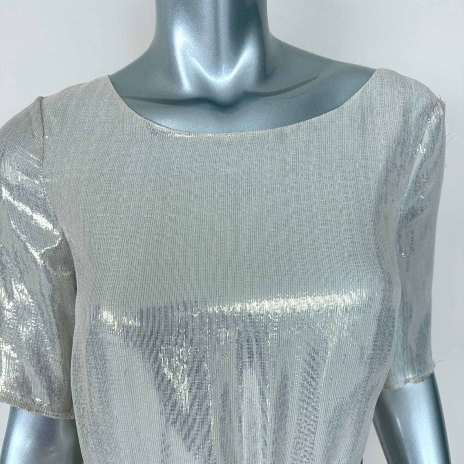 Patrizia Pepe NWT Patrizia Pepe women long sheer dress size 40IT or S 569$ Size S / US 4 / IT 40 - 4 Thumbnail