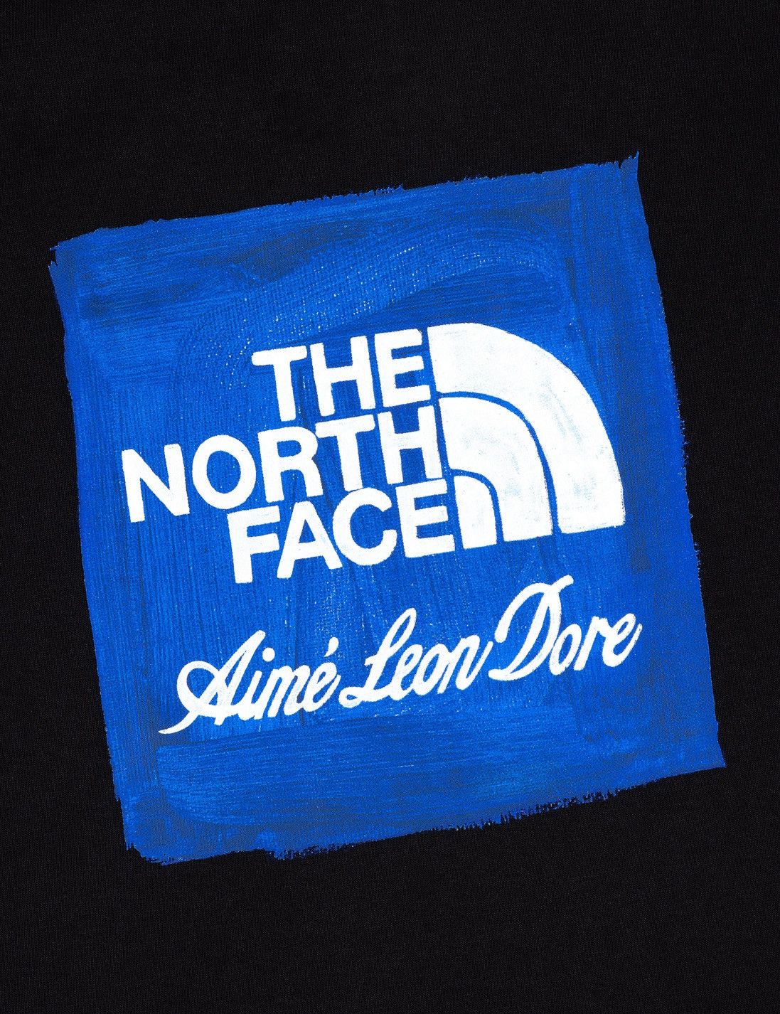 Aime Leon Dore Aime Leon Dore ALD / The North Face Logo Hoodie Black Medium Size US M / EU 48-50 / 2 - 4 Thumbnail