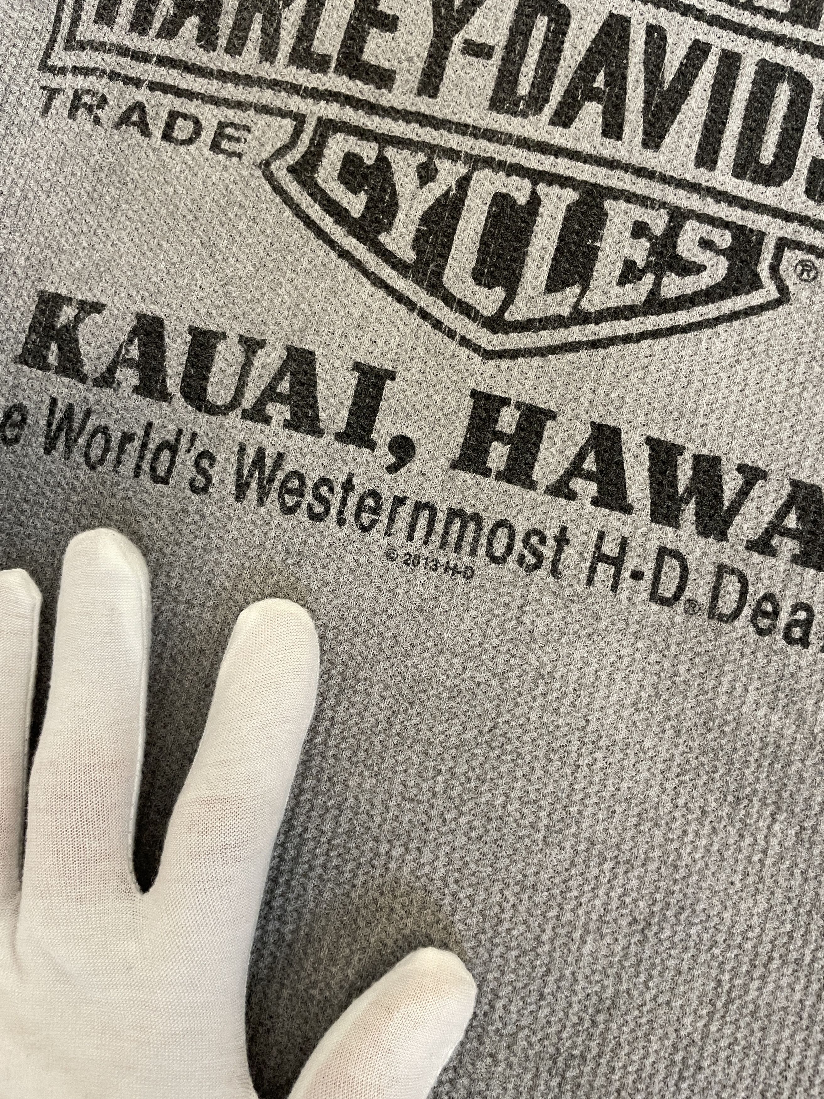 Band Tees 2017 Harley Davidson LongSleeve Skull Faded Print Kauai 2013 Size US XL / EU 56 / 4 - 9 Thumbnail