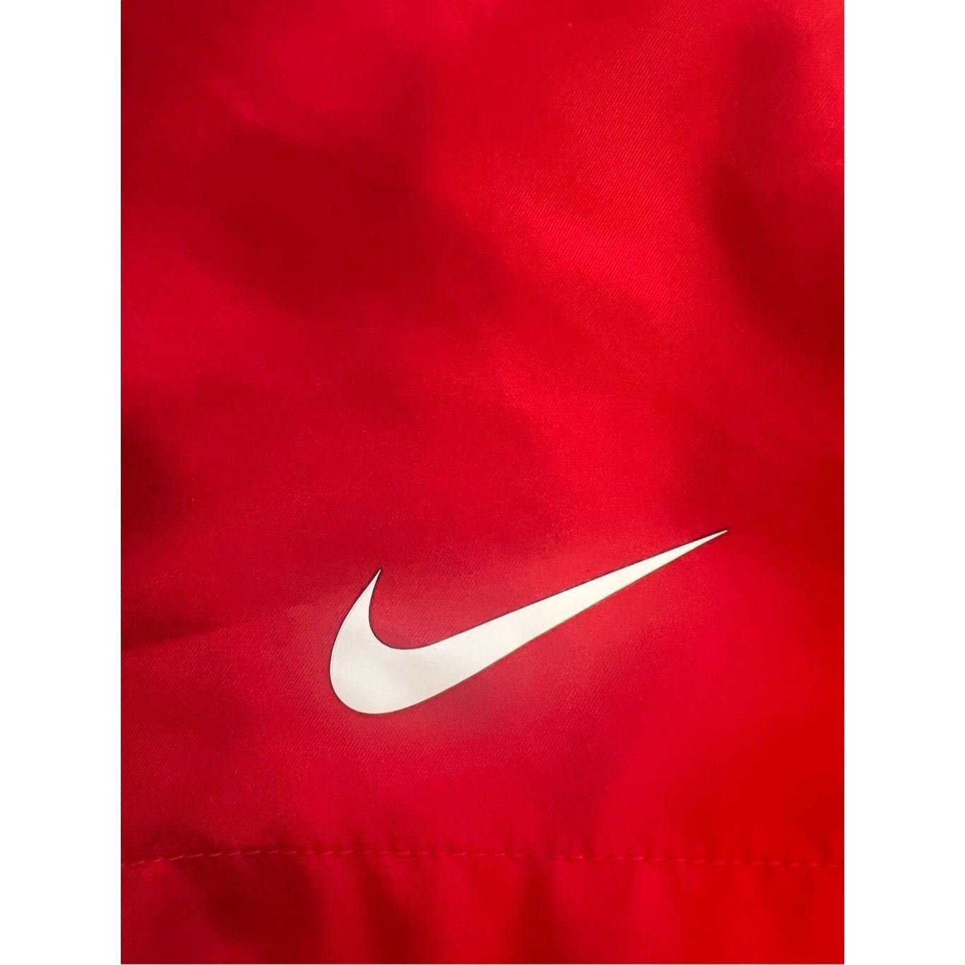 Nike Nike Dri-fit Shorts size L Size US 30 / EU 46 - 3 Thumbnail