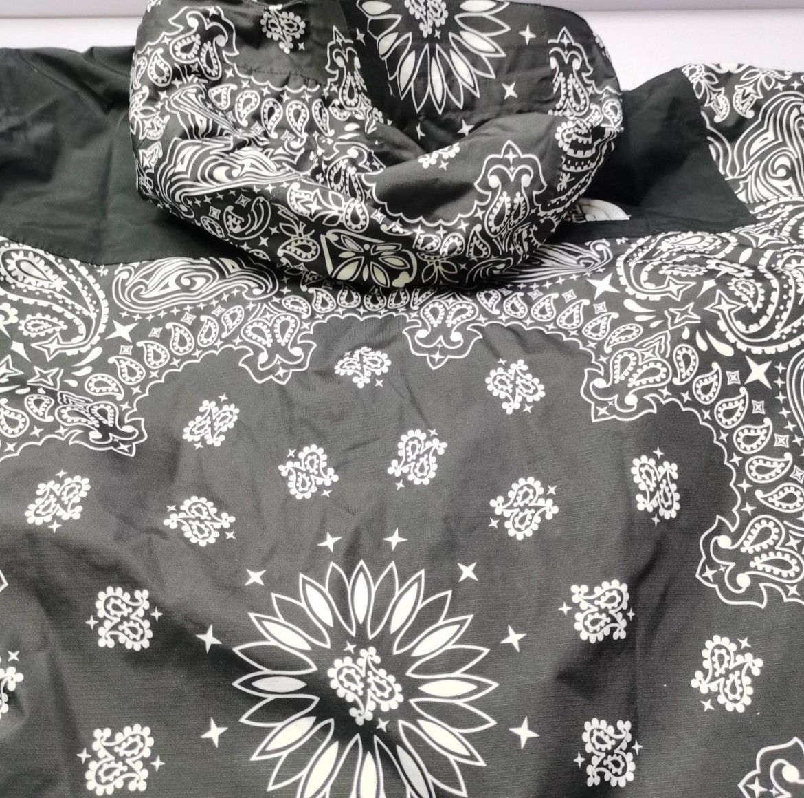 Supreme × The North Face Supreme x The North Face Bandana Mountain Jacket Size US L / EU 52-54 / 3 - 8 Thumbnail