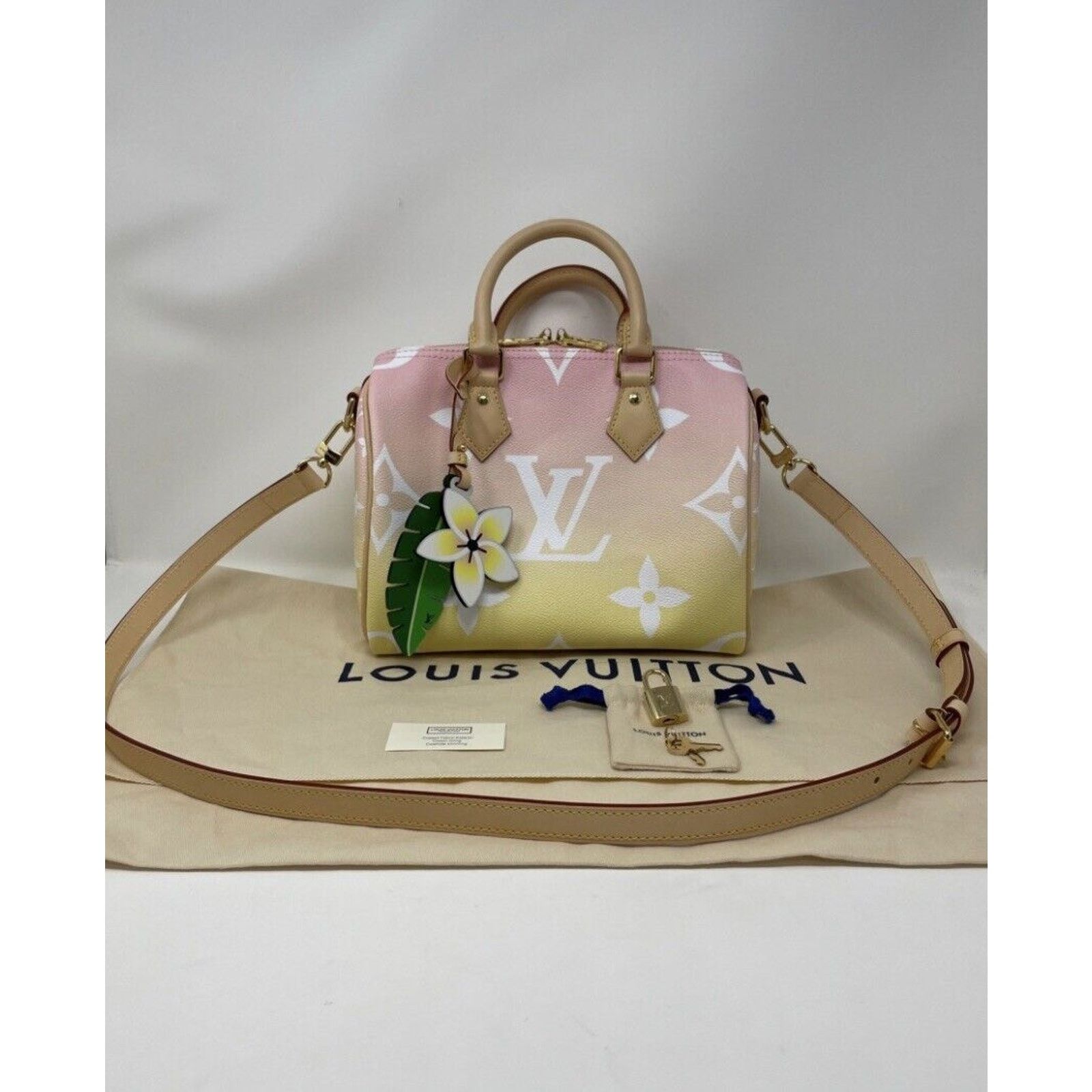 Louis Vuitton Louis Vuitton Speedy Bandoulier 25 Bag By The Pool Monogram Size ONE SIZE - 2 Thumbnail