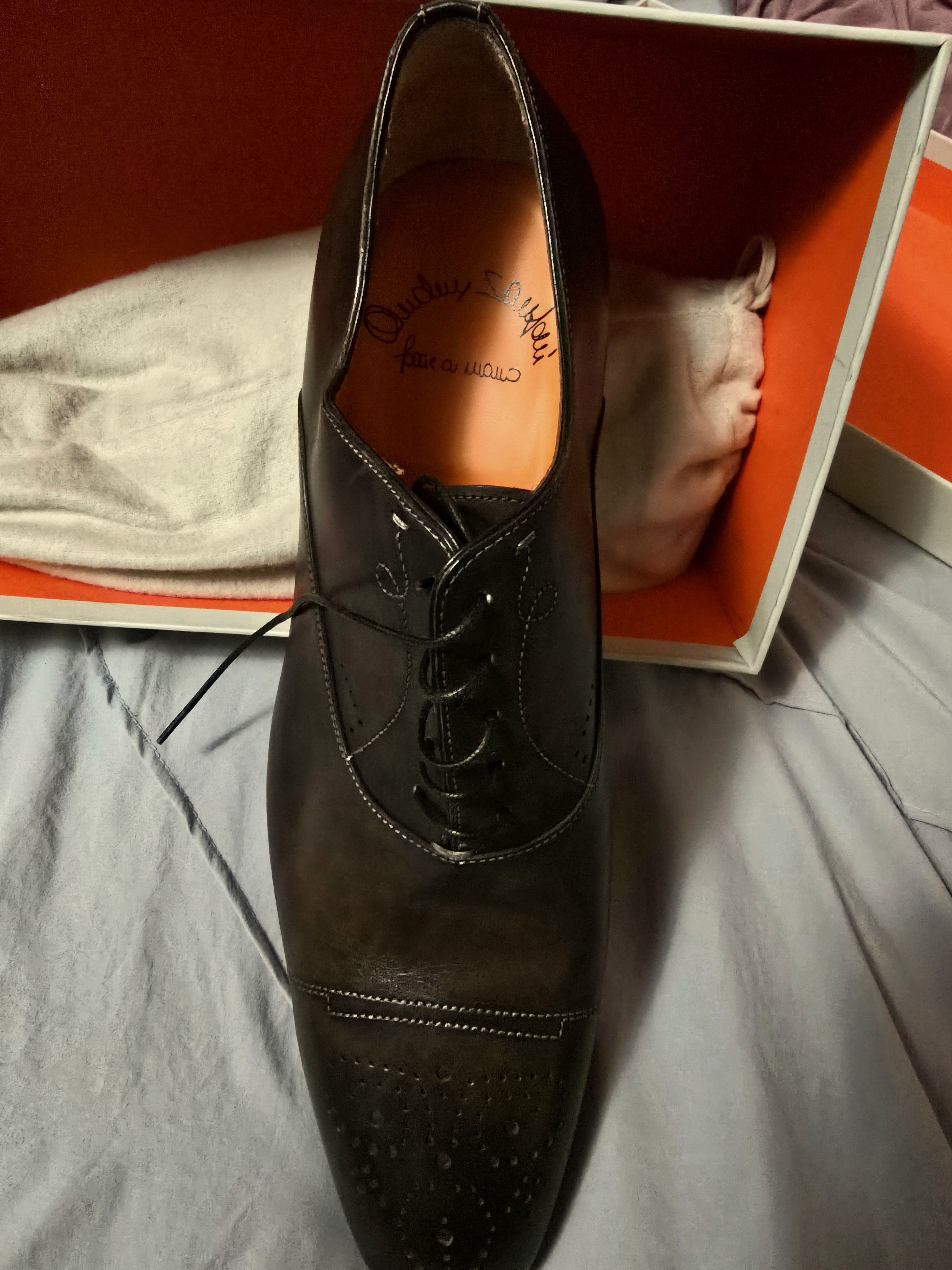 Santoni Santoni Laced-up Oxford shoes Size US 12 / EU 45 - 1 Thumbnail