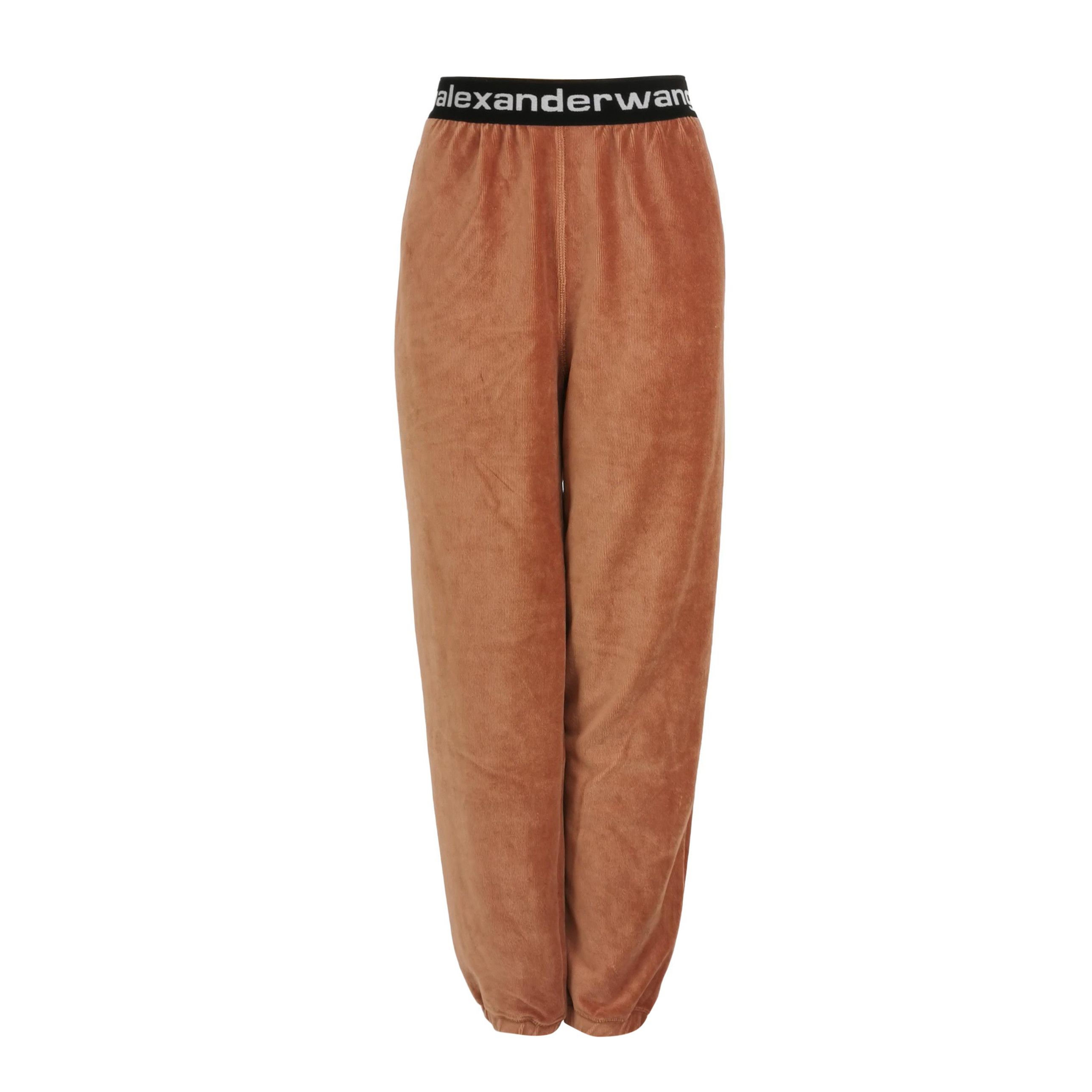 Alexander Wang Alexander Wang Logo Waistband Velour Pants Size XS Size 28" / US 6 / IT 42 - 1 Thumbnail