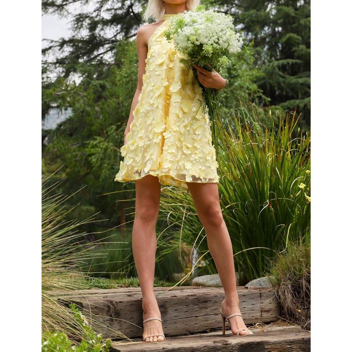 Eva Franco EVA FRANCO Henrietta Dress In Buttercup Petal