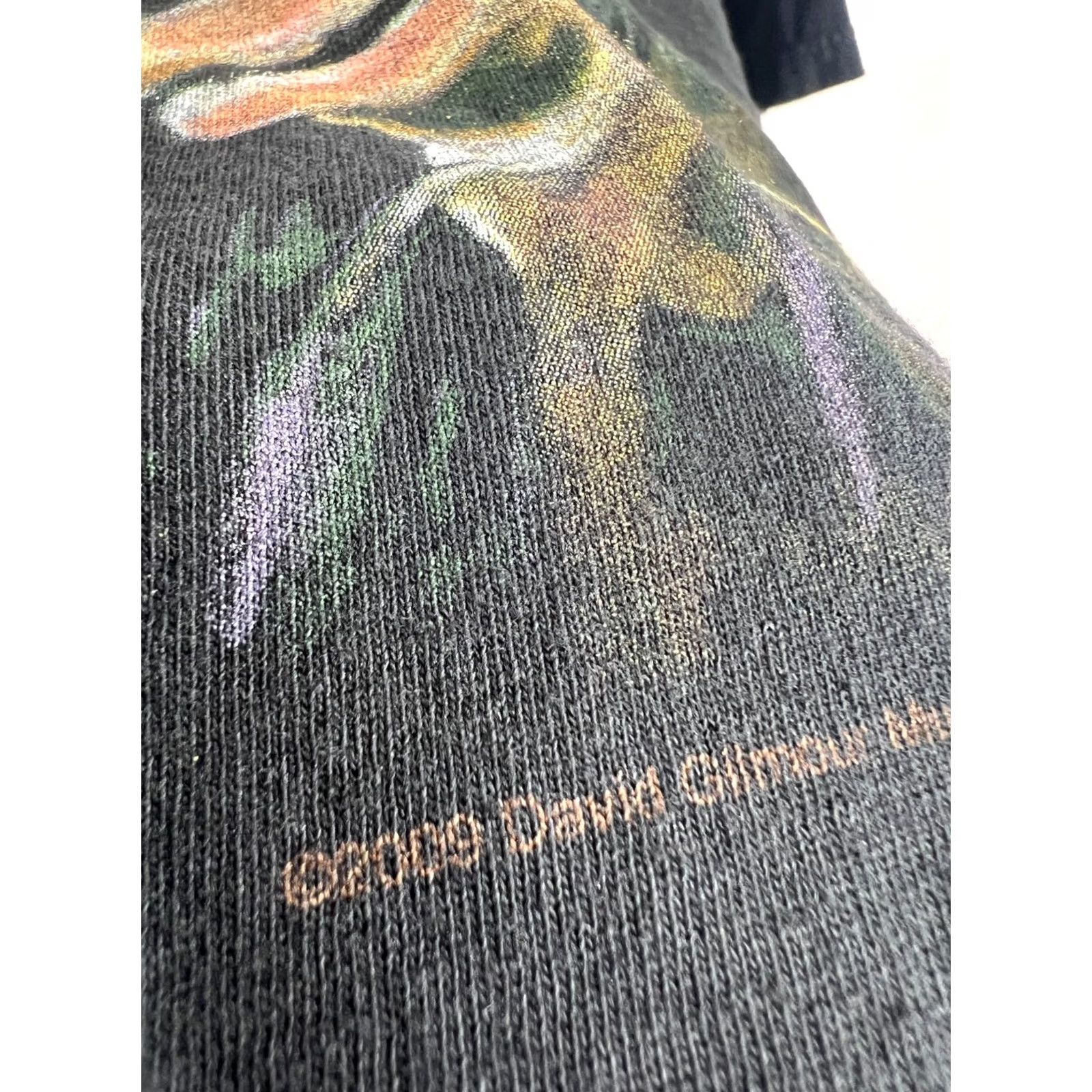 Vintage VINTAGE David Gilmour T-Shirt Band Black Adult Large Nike? Size US L / EU 52-54 / 3 - 3 Thumbnail