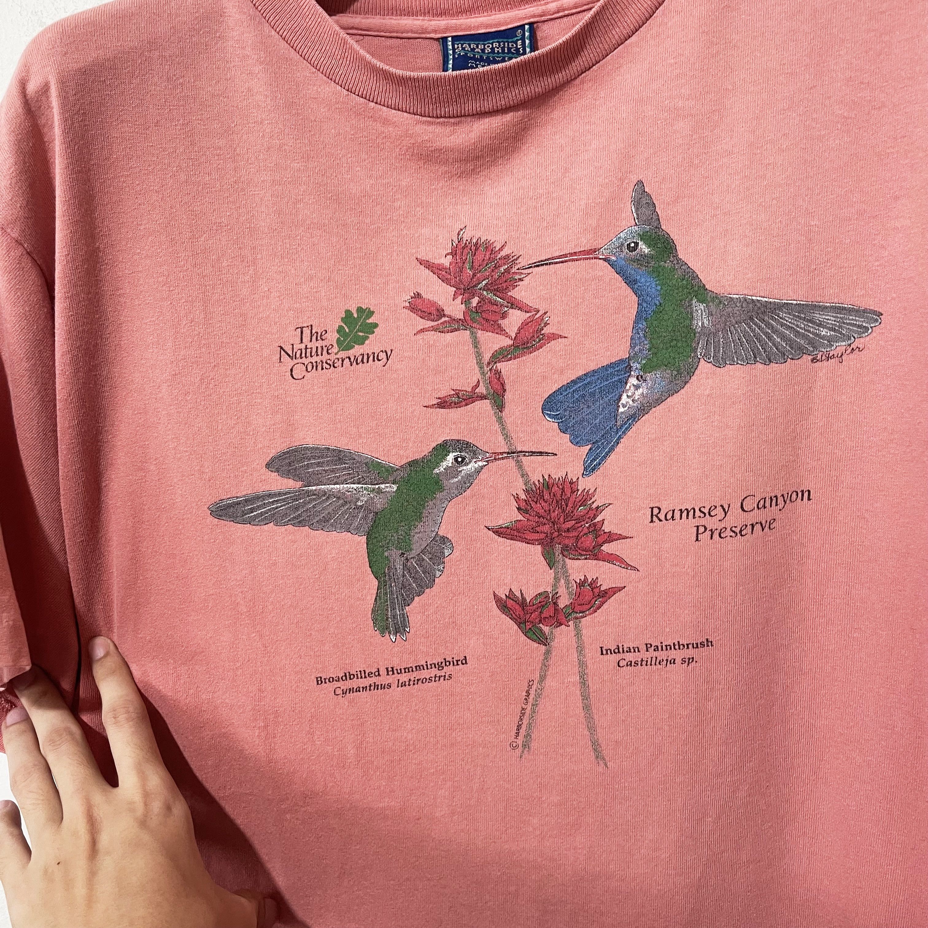 Vintage Vintage 90s Bird Shirt Size US M / EU 48-50 / 2 - 2 Thumbnail
