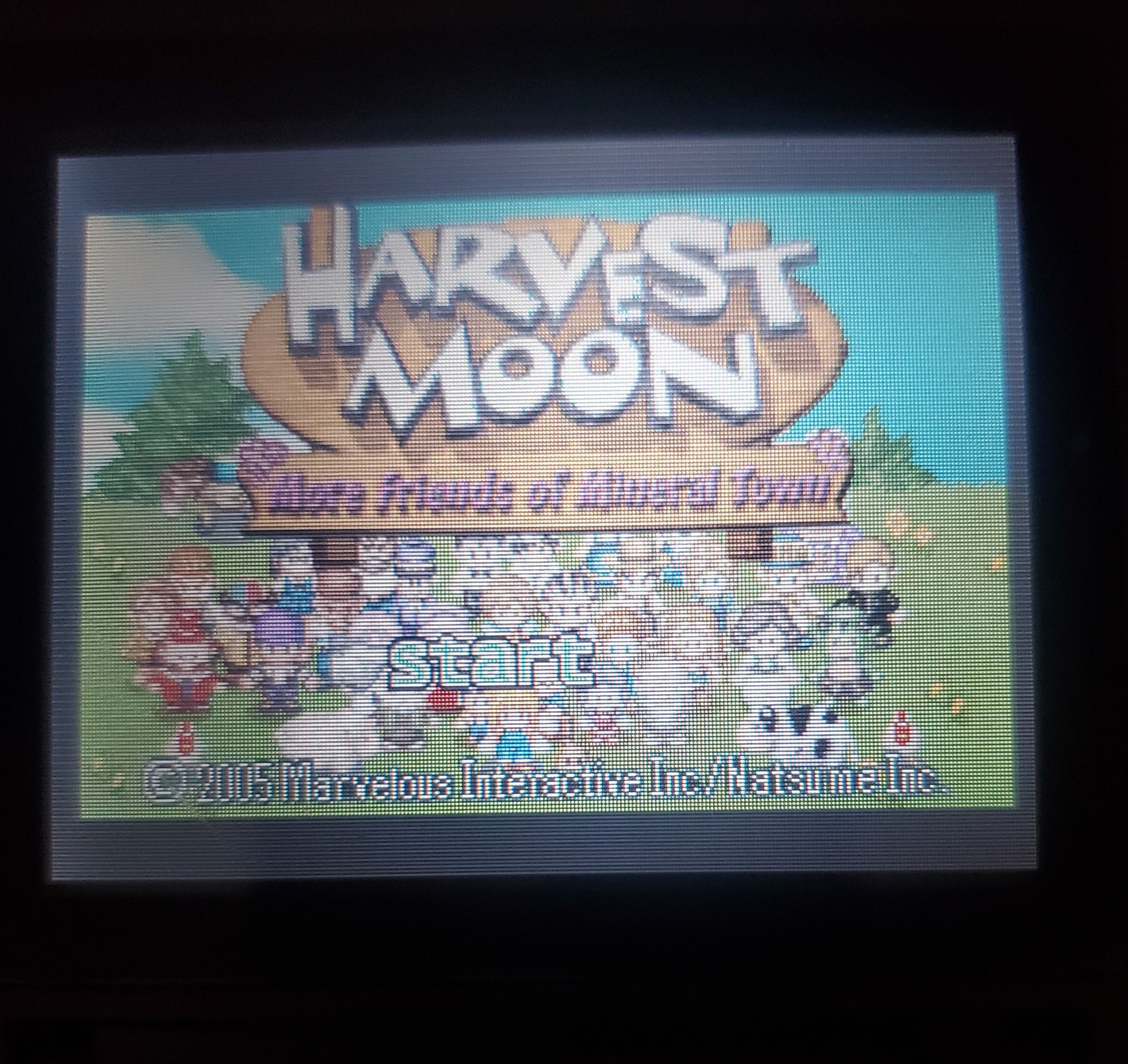 Nintendo Harvest Moon Friends and More Friends Mineral Town GBA Game Size ONE SIZE - 4 Thumbnail
