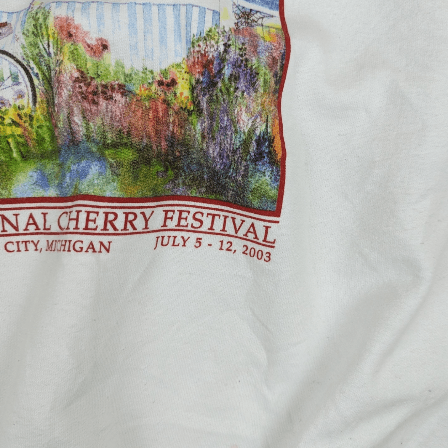 Hanes Vintage 2000's HANES National Cherry Festival Sweatshirt Size US L / EU 52-54 / 3 - 6 Thumbnail