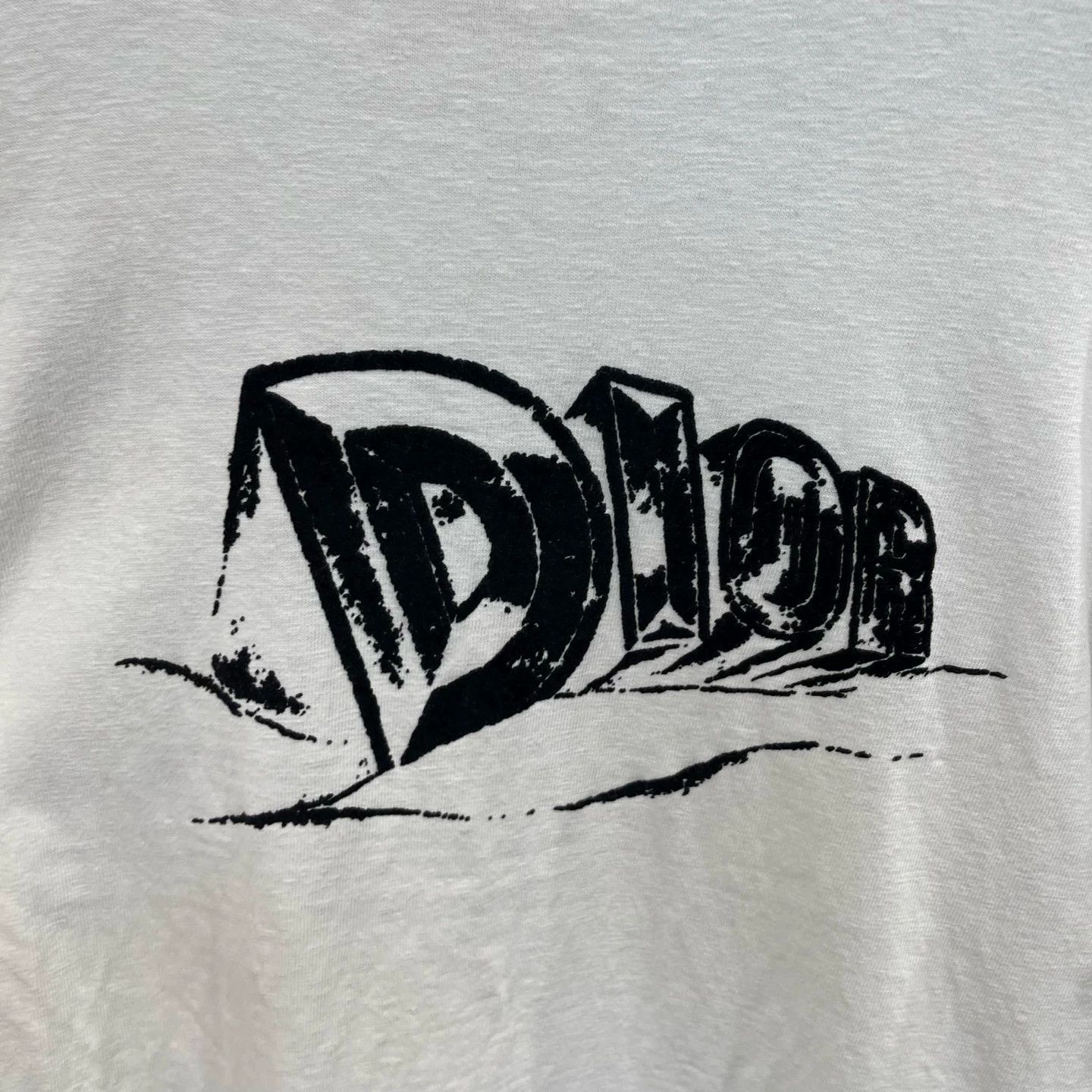 Dior Dior flocked slogan logo short tee M new #1133 Size US M / EU 48-50 / 2 - 4 Thumbnail