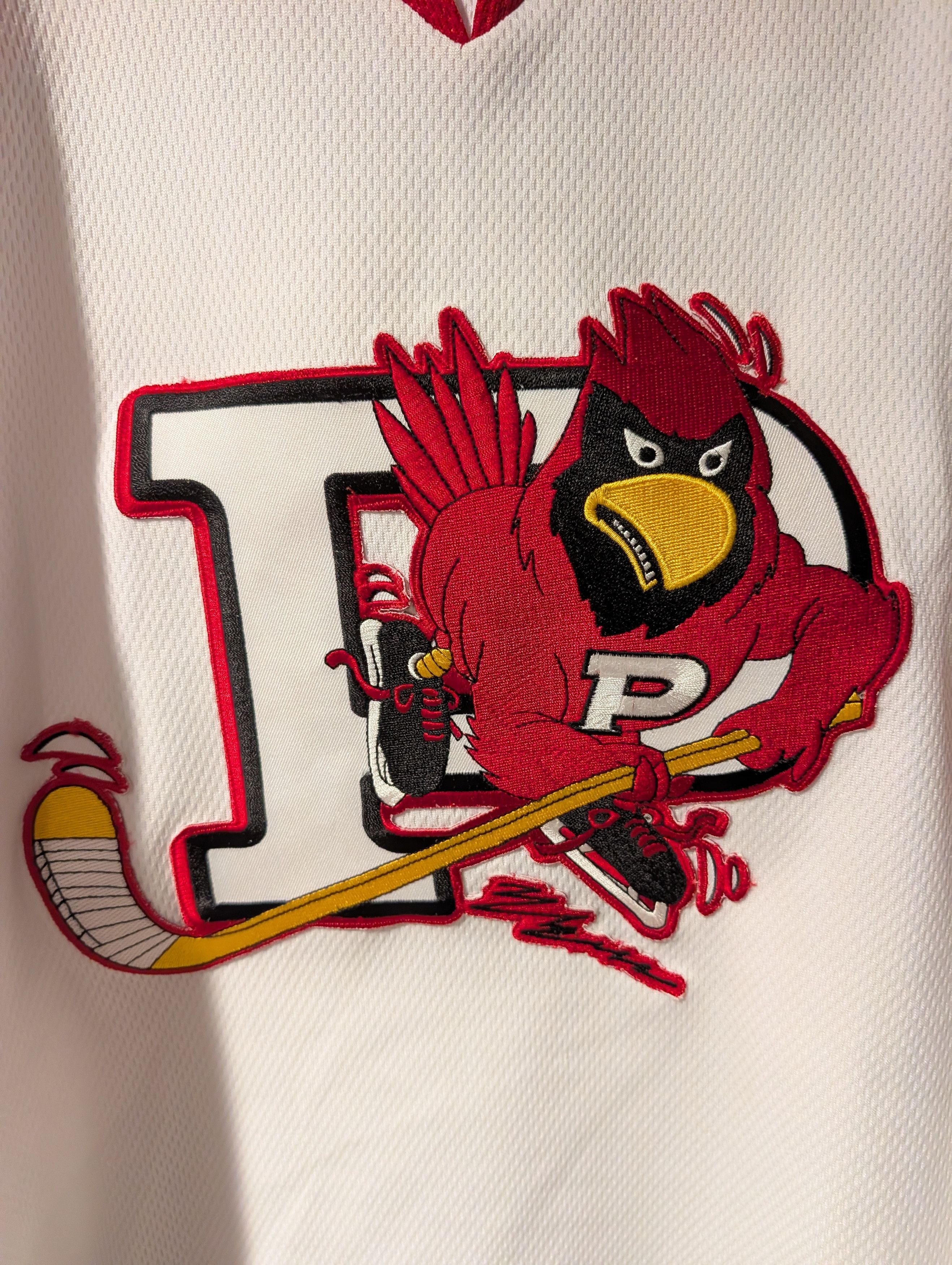 NHL VTG Plattsburgh State Cardinals Hockey Jersey NCAA Gorpcore Size US L / EU 52-54 / 3 - 2 Thumbnail