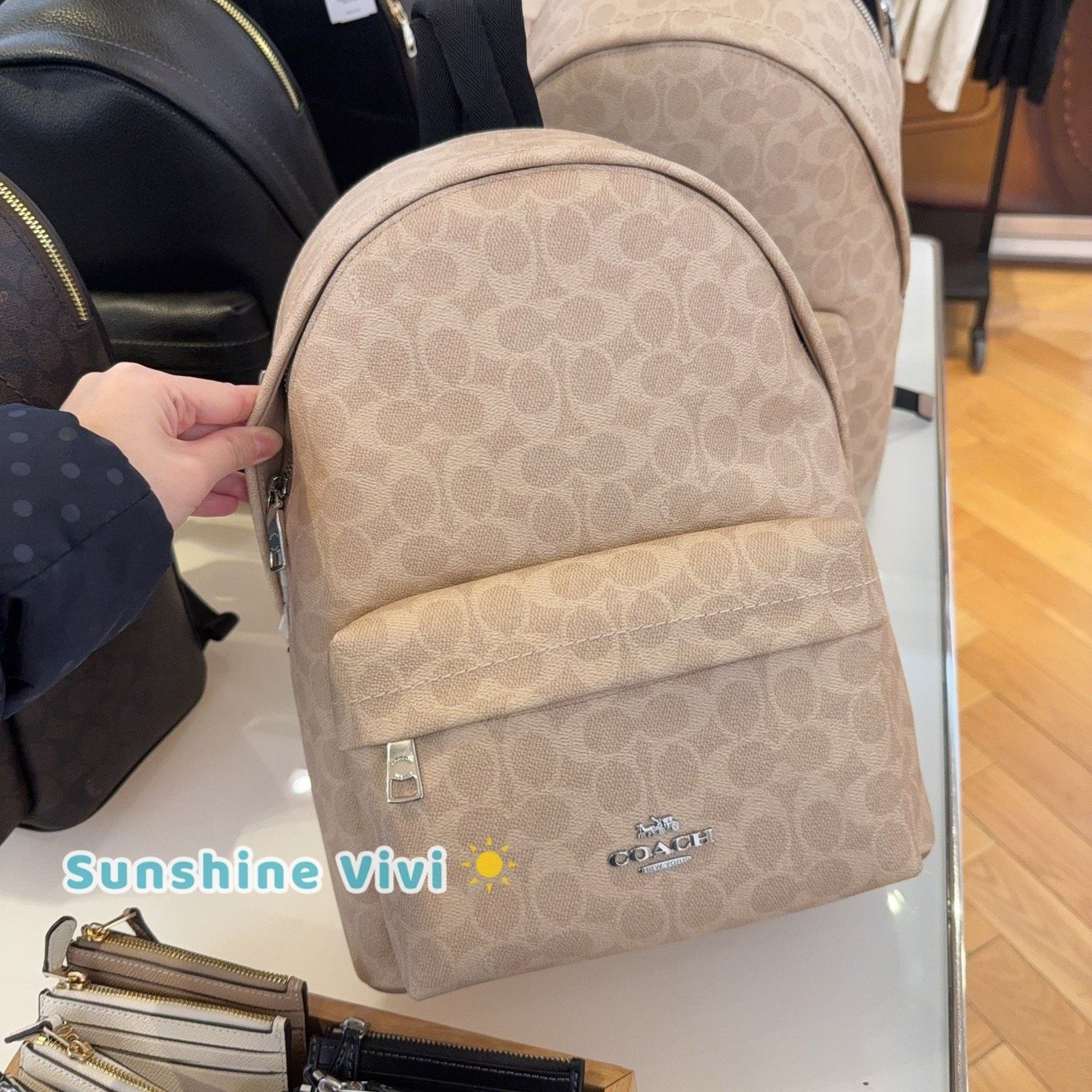 Coach NWT Coach Taylor Small Backpack CDW76 Silver/Sand/Taupe Size ONE SIZE - 1 Thumbnail
