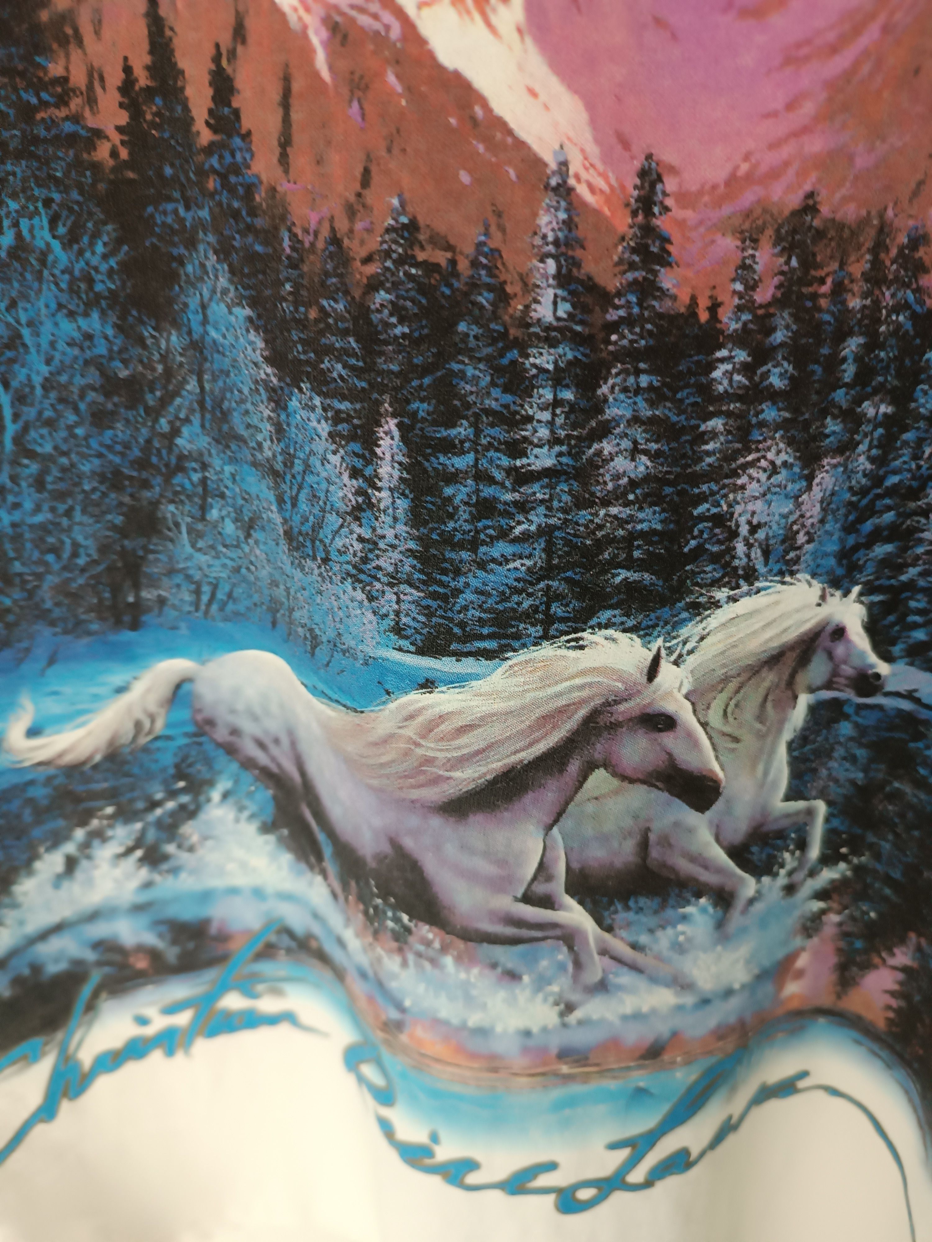 Vintage VINTAGE 1995 CHRISTIAN RIESE LASSEN HORSE IN A LAKE ART TEE Size US XL / EU 56 / 4 - 13 Thumbnail